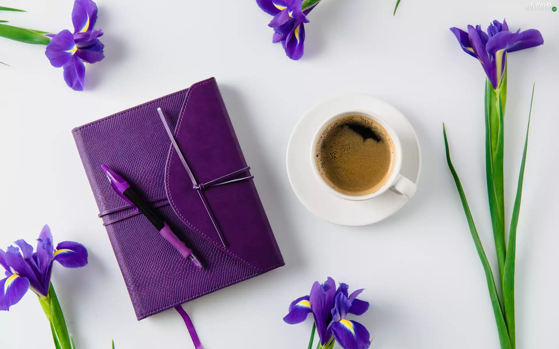 coffee, cup, pen, plate, Present, Irises, Flowers, note-book