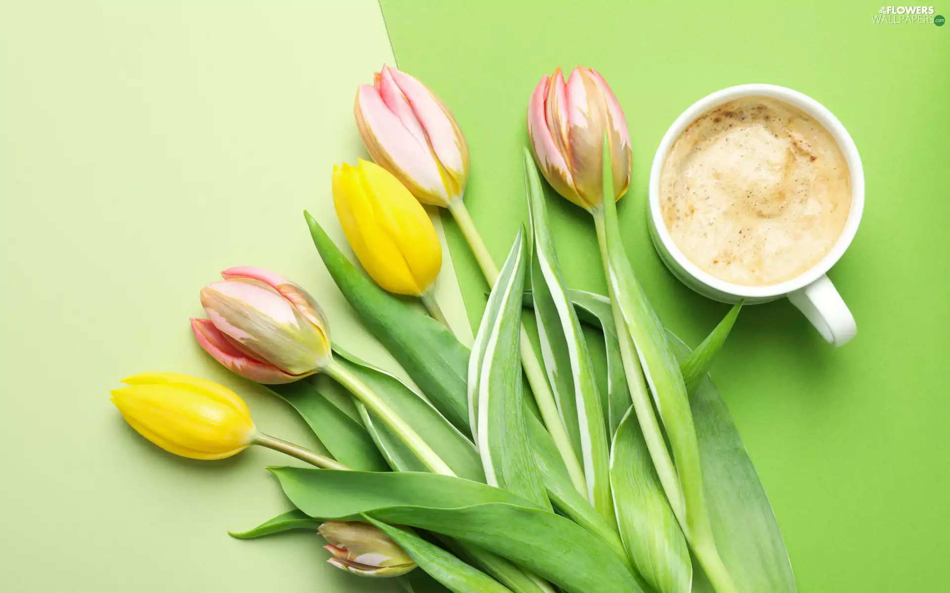 Yellow, Flowers, cup, coffee, Pink, Tulips