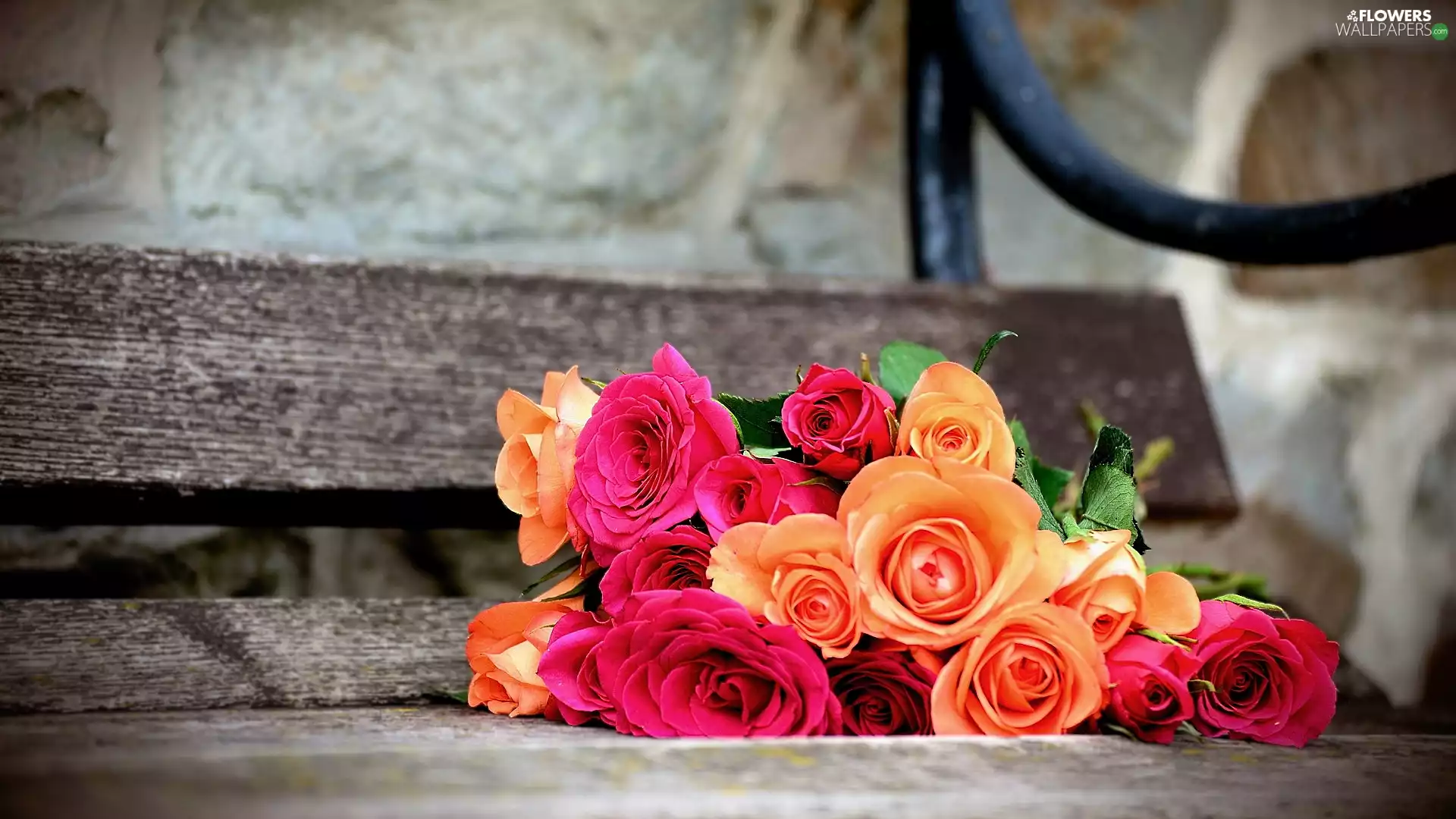 bouquet, roses, Bench, color