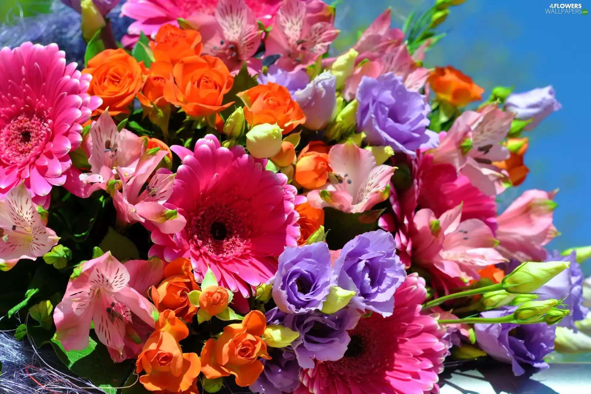 color, Flowers, bouquet