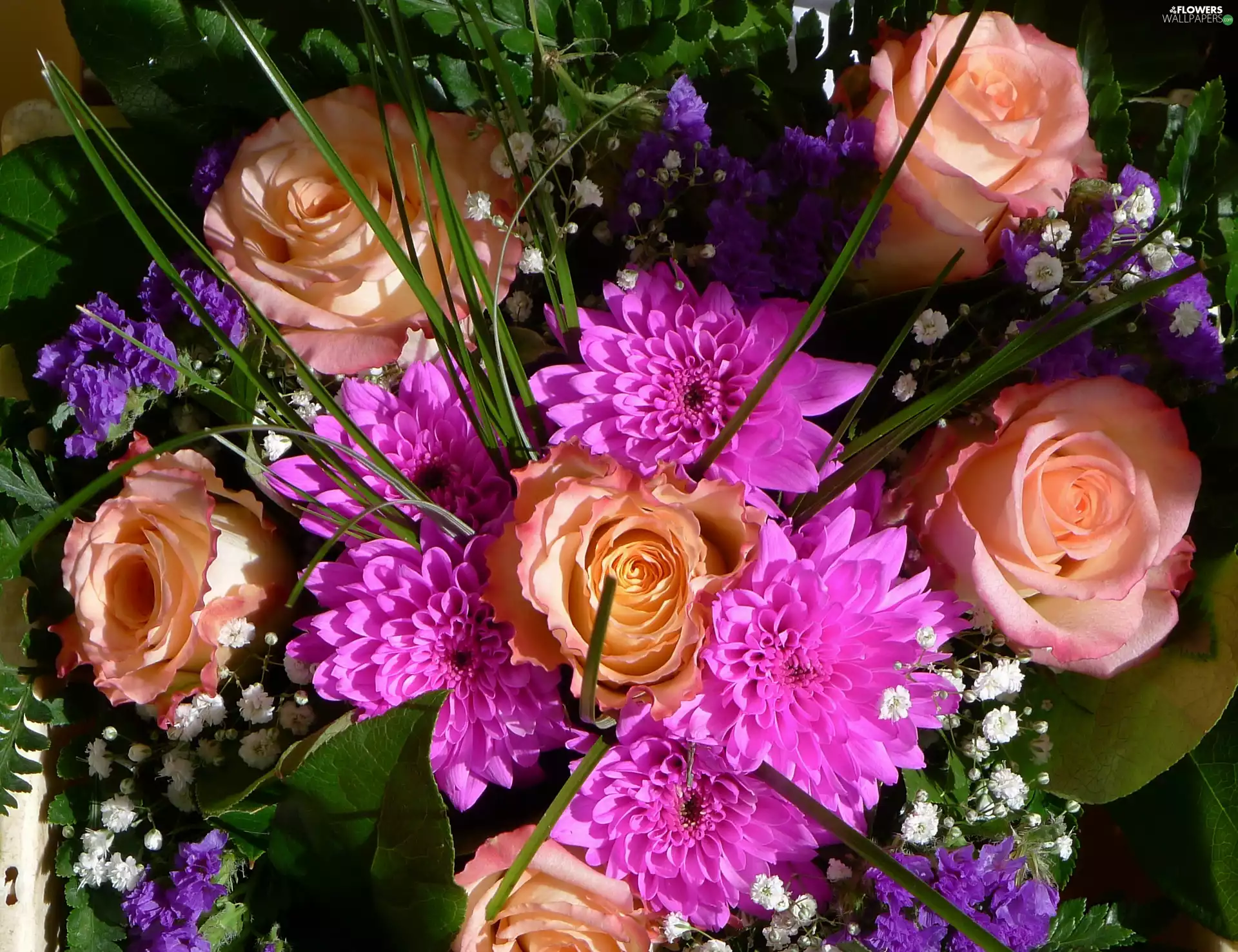 color, bouquet, Flowers