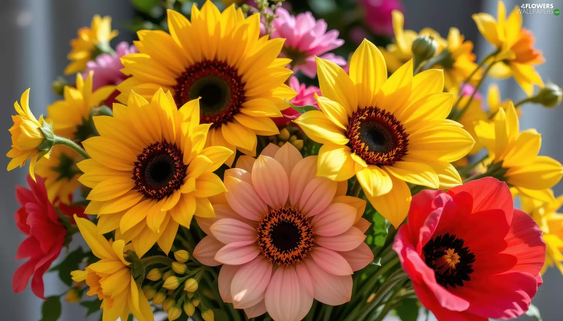 Flowers, Ai, bouquet, color