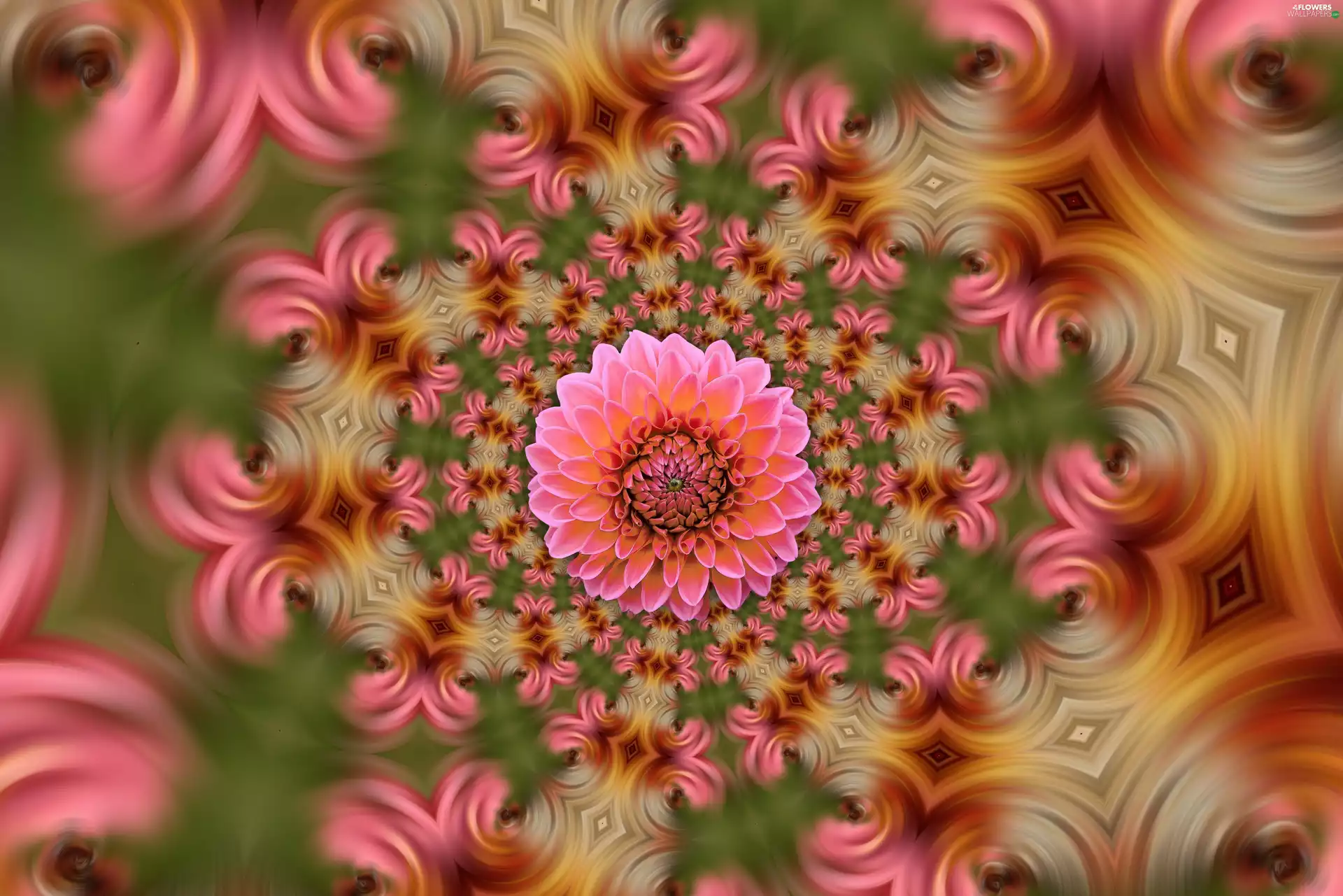 background, graphics, Dalia, color, Colourfull Flowers