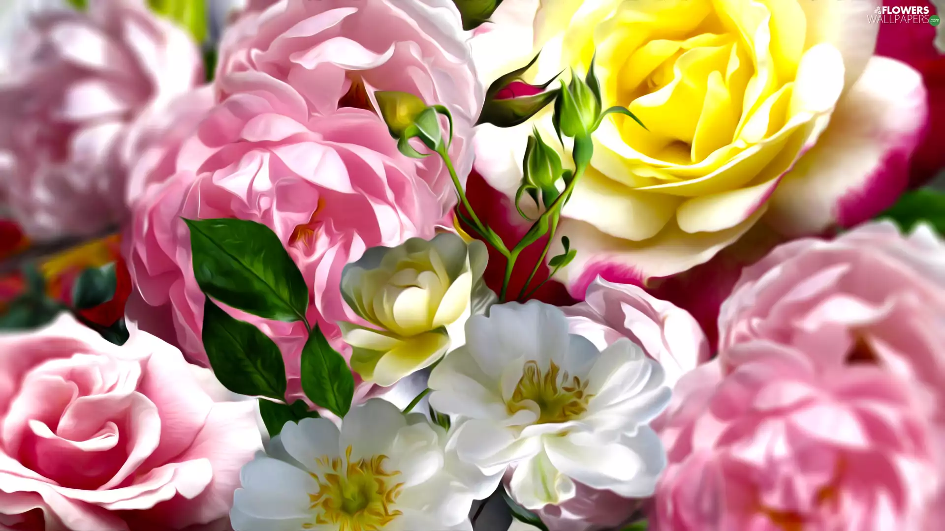 Flowers, roses, graphics, color
