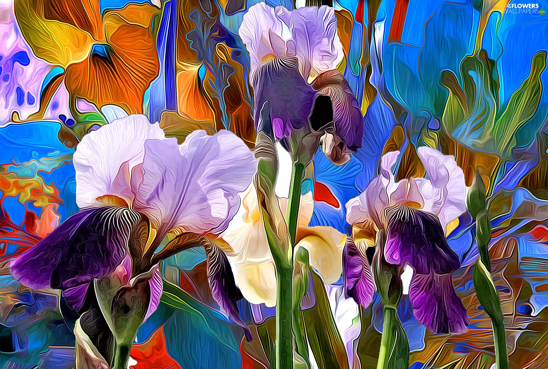 color, Irises