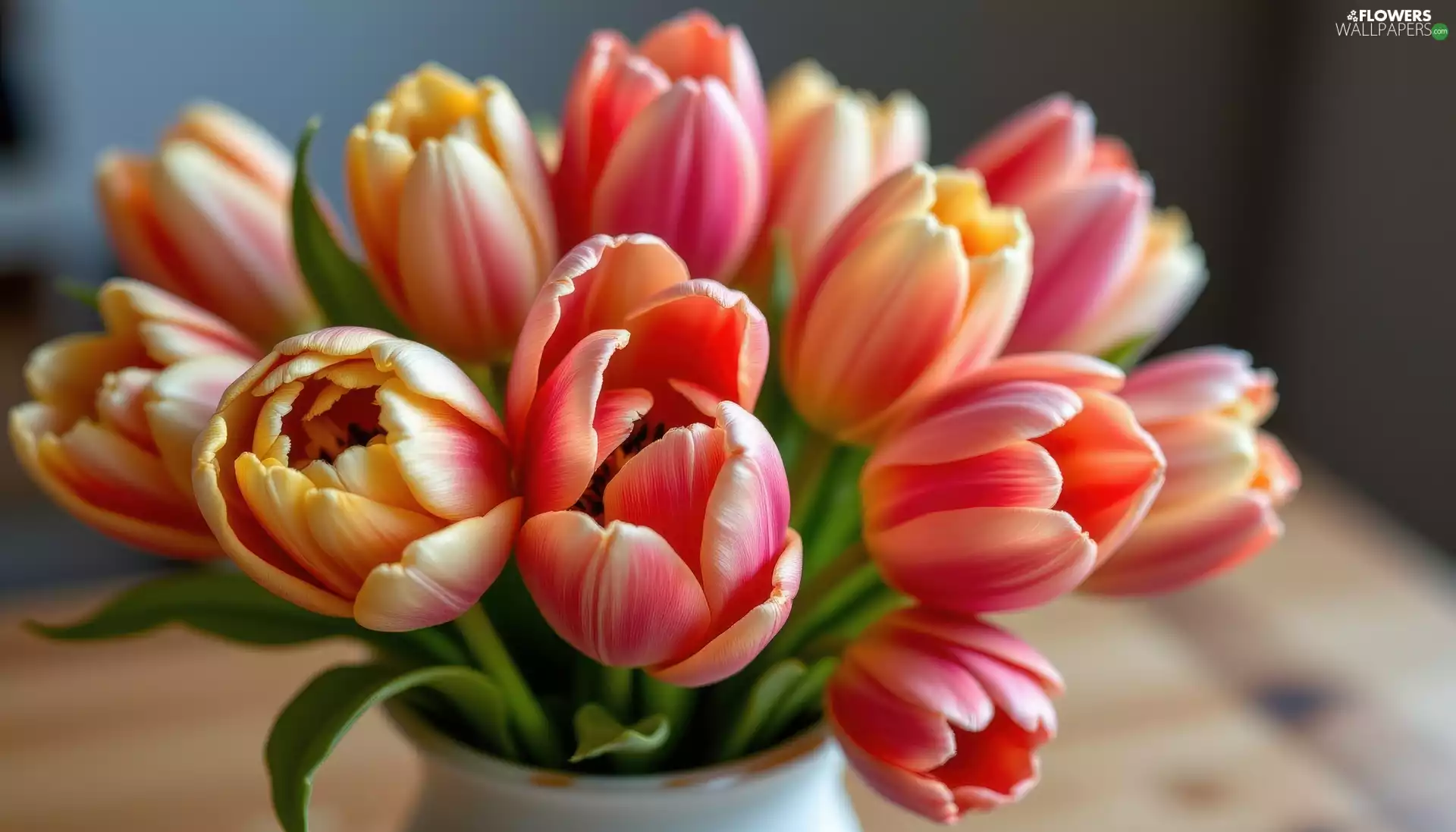 Tulips, Flowers, Vase, color