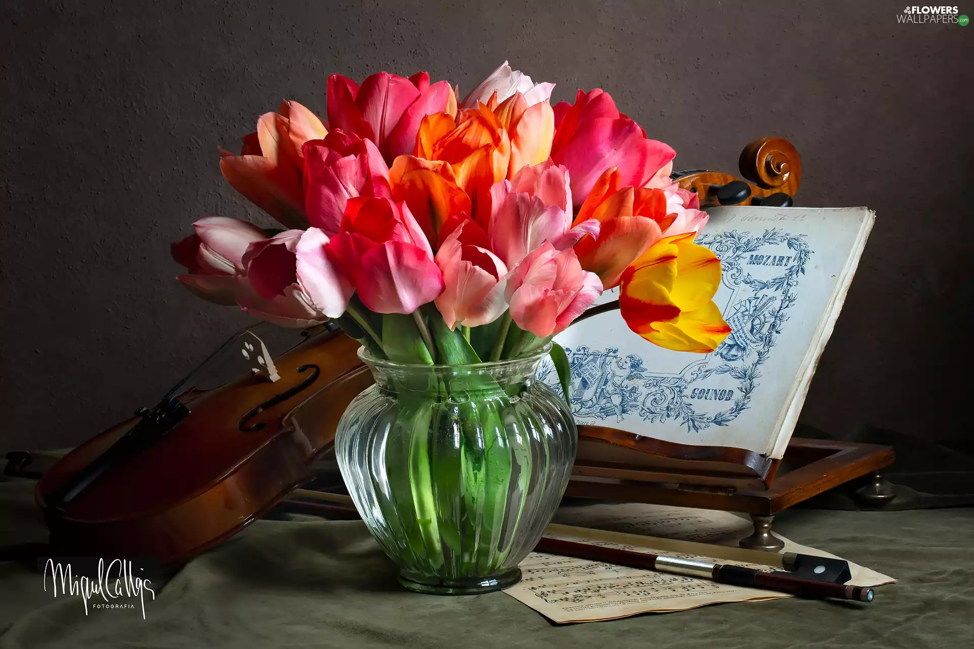 color, Flowers, Tulips, glass, Tunes, composition, violin, bow, Vase