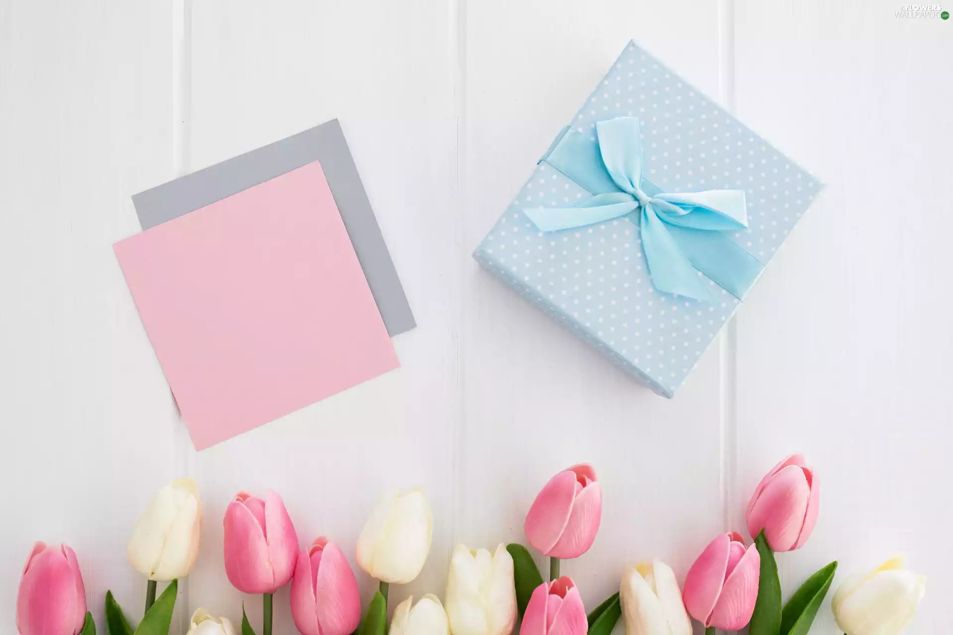 Cards, Tulips, White, color, Flowers, Present, boarding