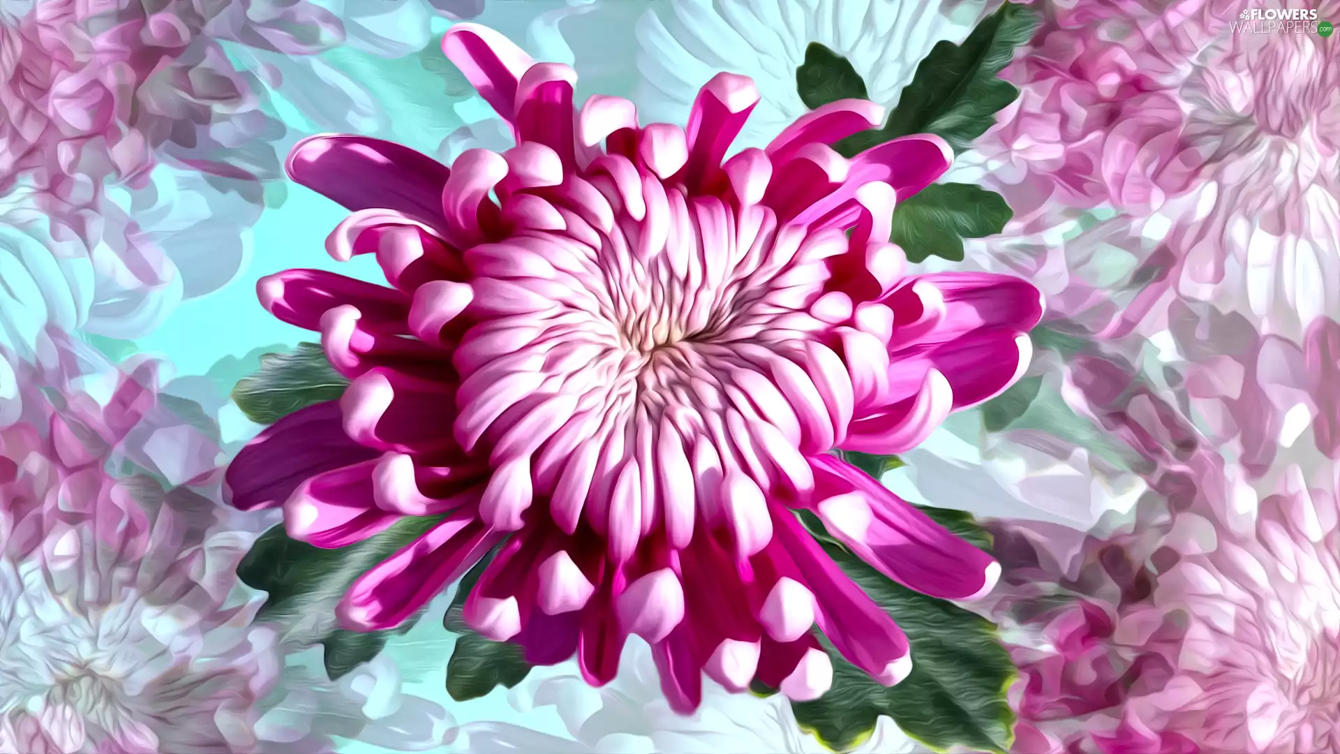 Colourfull Flowers, graphics, Colorful Background, chrysanthemum