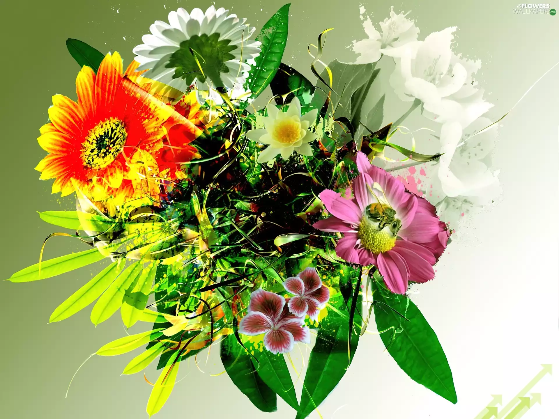 flowers, small bunch, Colorful