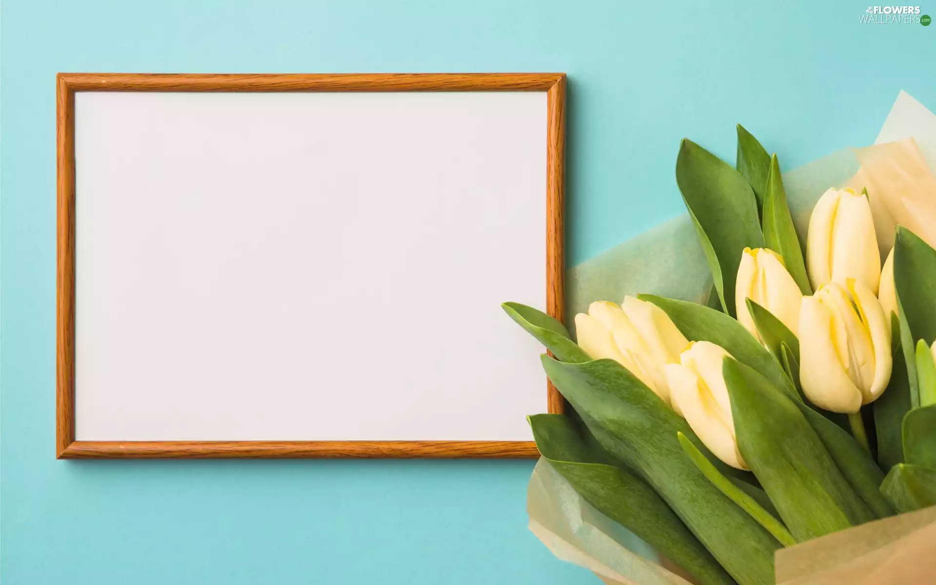 Yellow, Flowers, frame, Colorful Background, Tulips, bouquet
