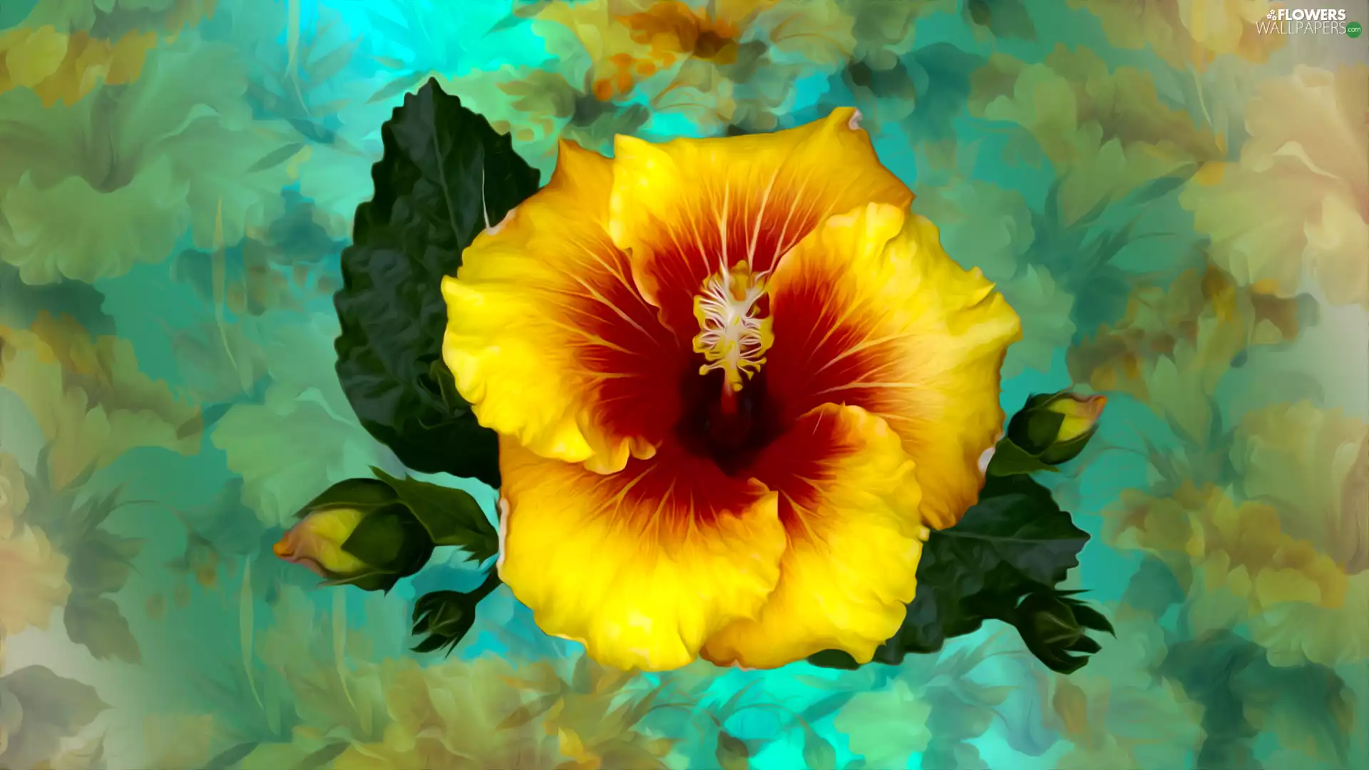 Colourfull Flowers, graphics, Colorful Background, hibiskus