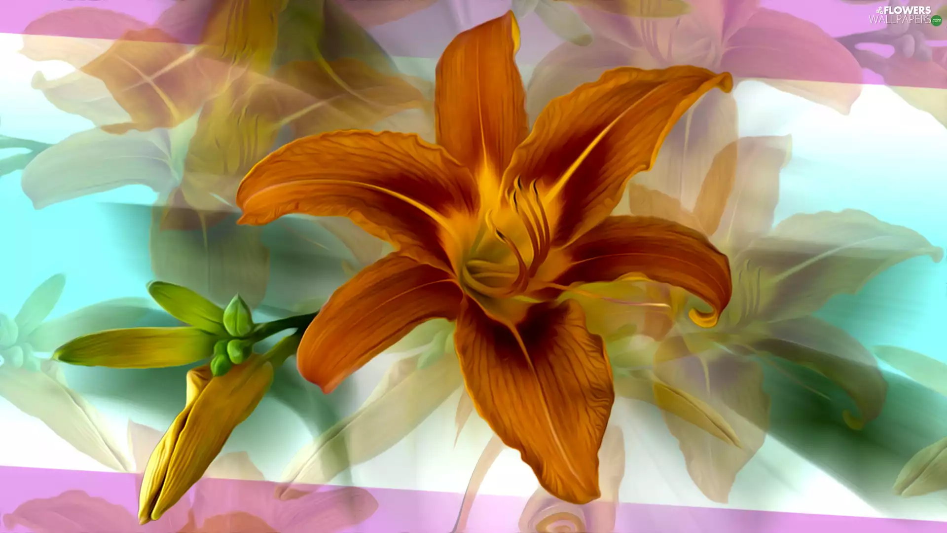 Colourfull Flowers, graphics, Colorful Background, Lily