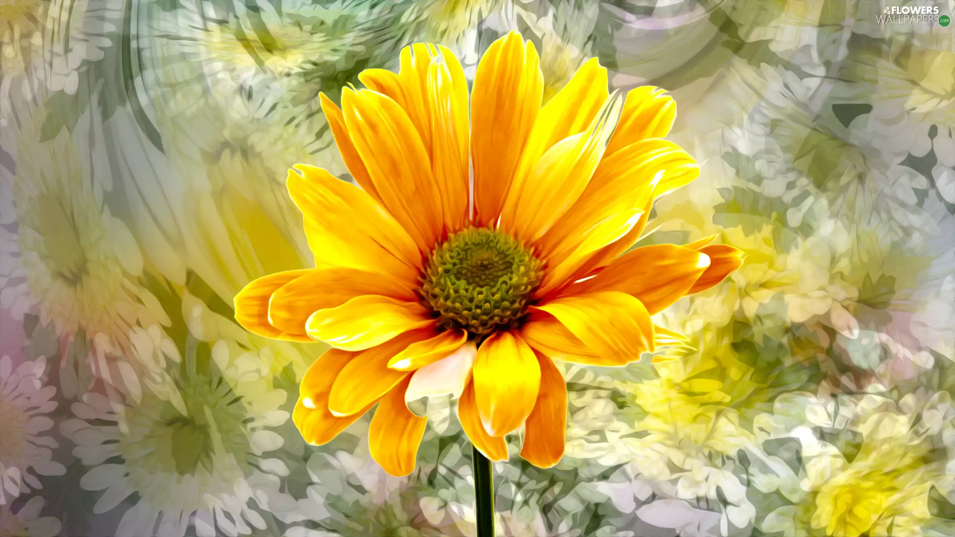 Colourfull Flowers, graphics, Colorful Background, Rudbeckia