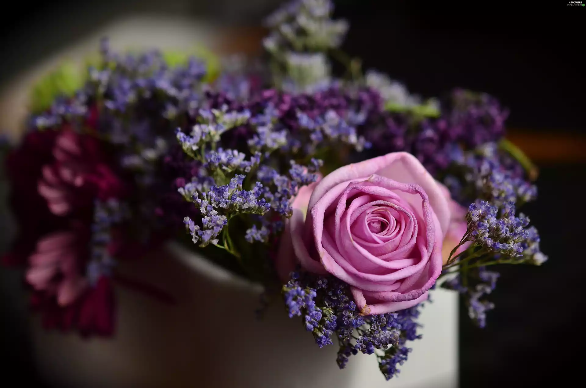 bouquet, rose, Colourfull Flowers