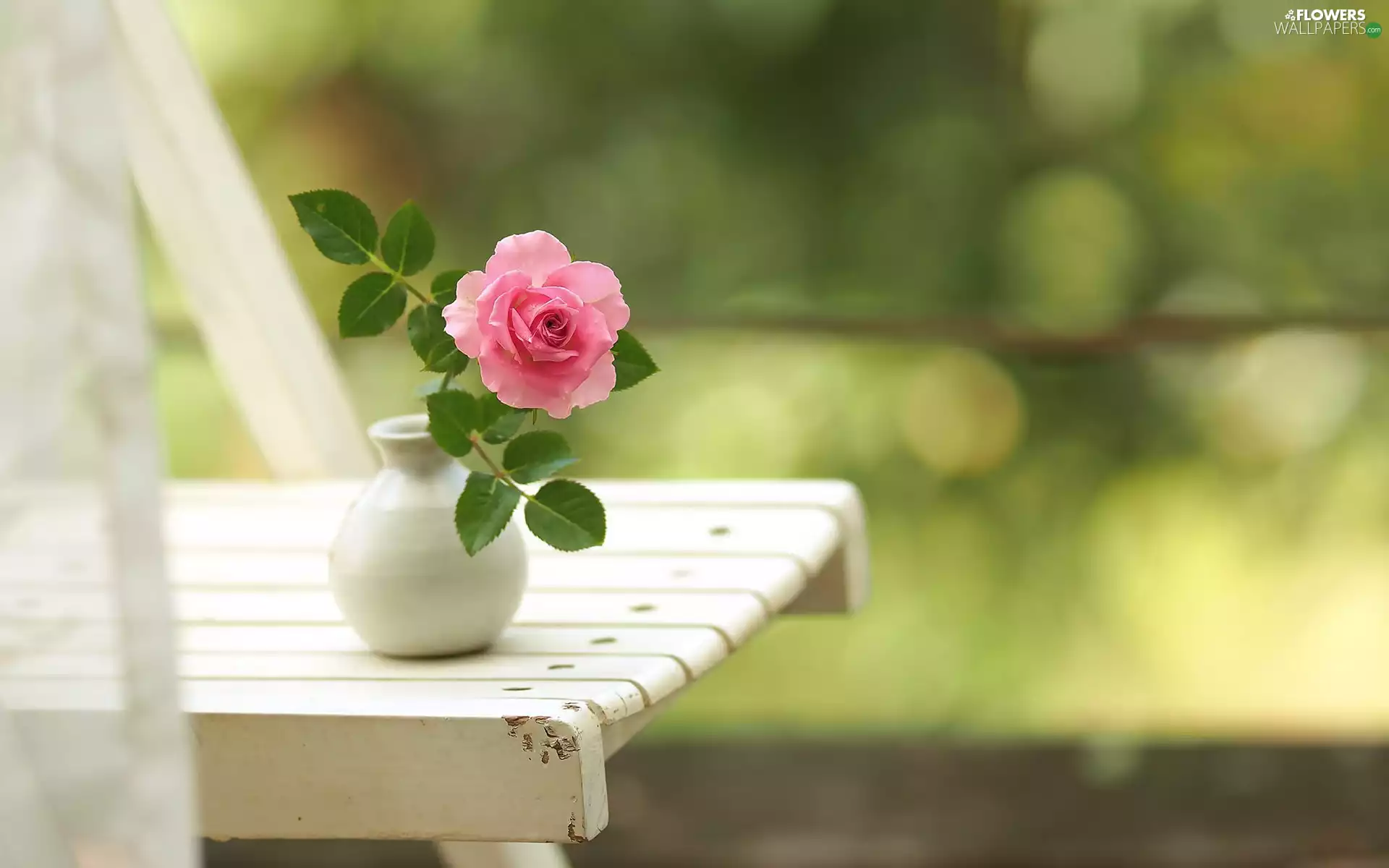 rose, vase, Colourfull Flowers