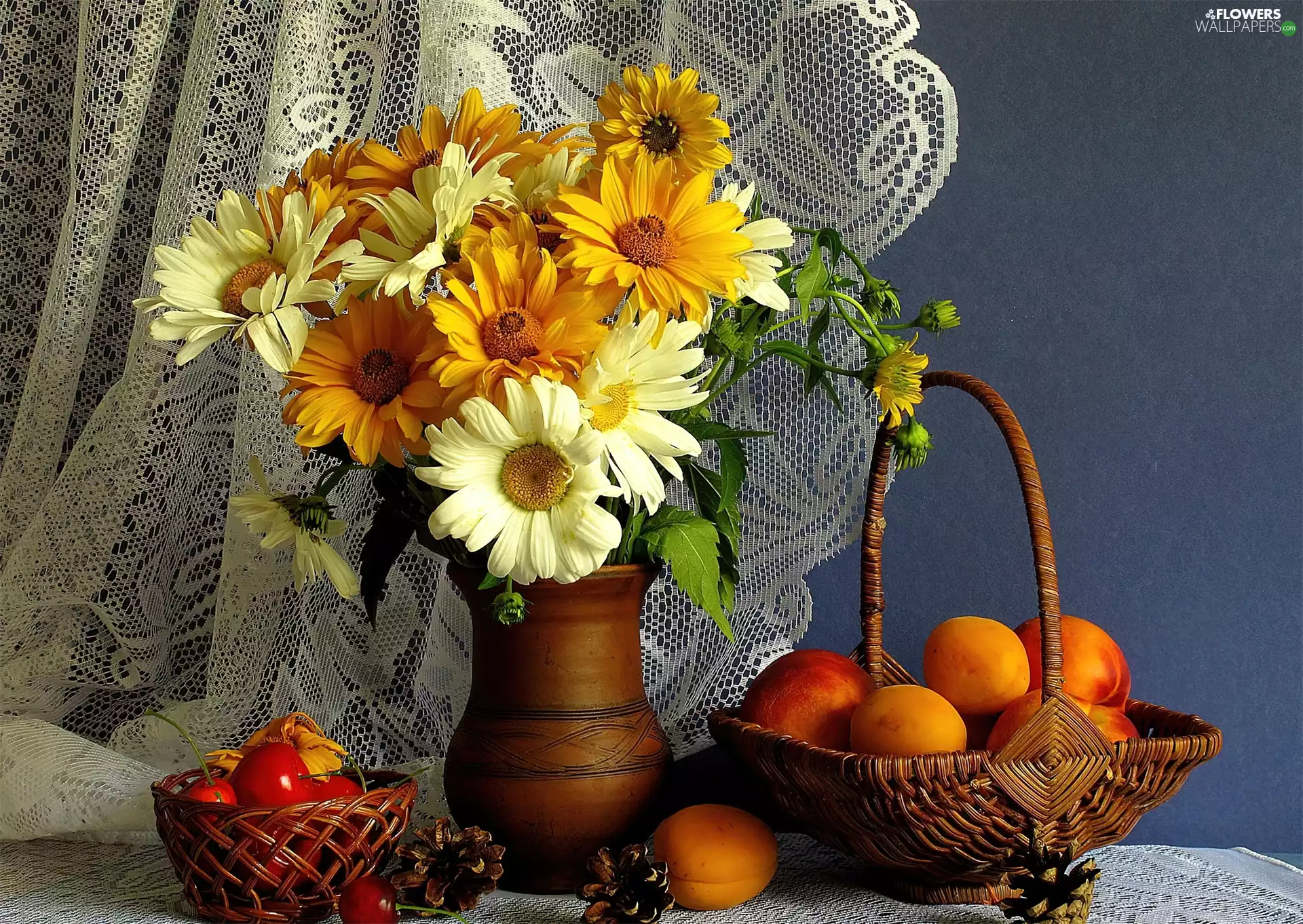 composition, gerberas, apricots