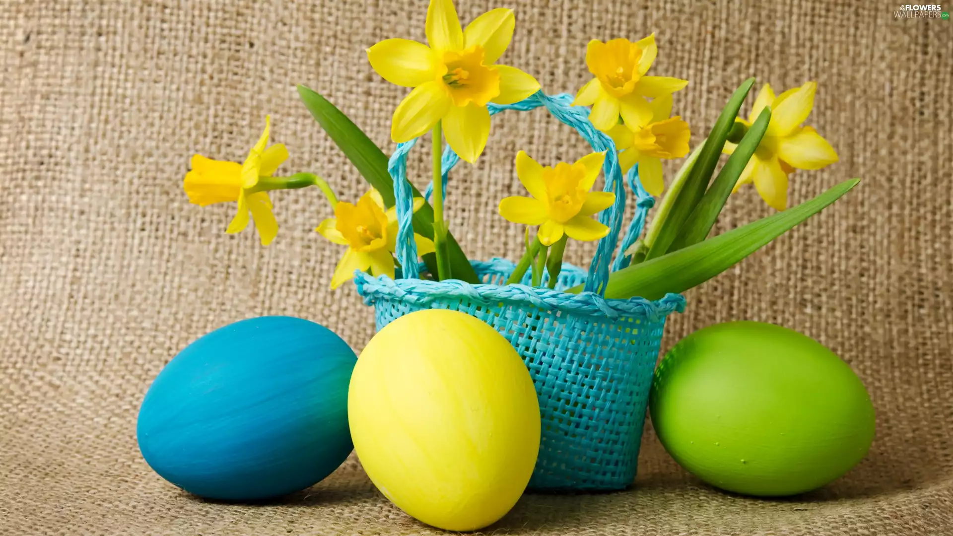 narcissus, Easter, eggs, composition, Daffodils, basket