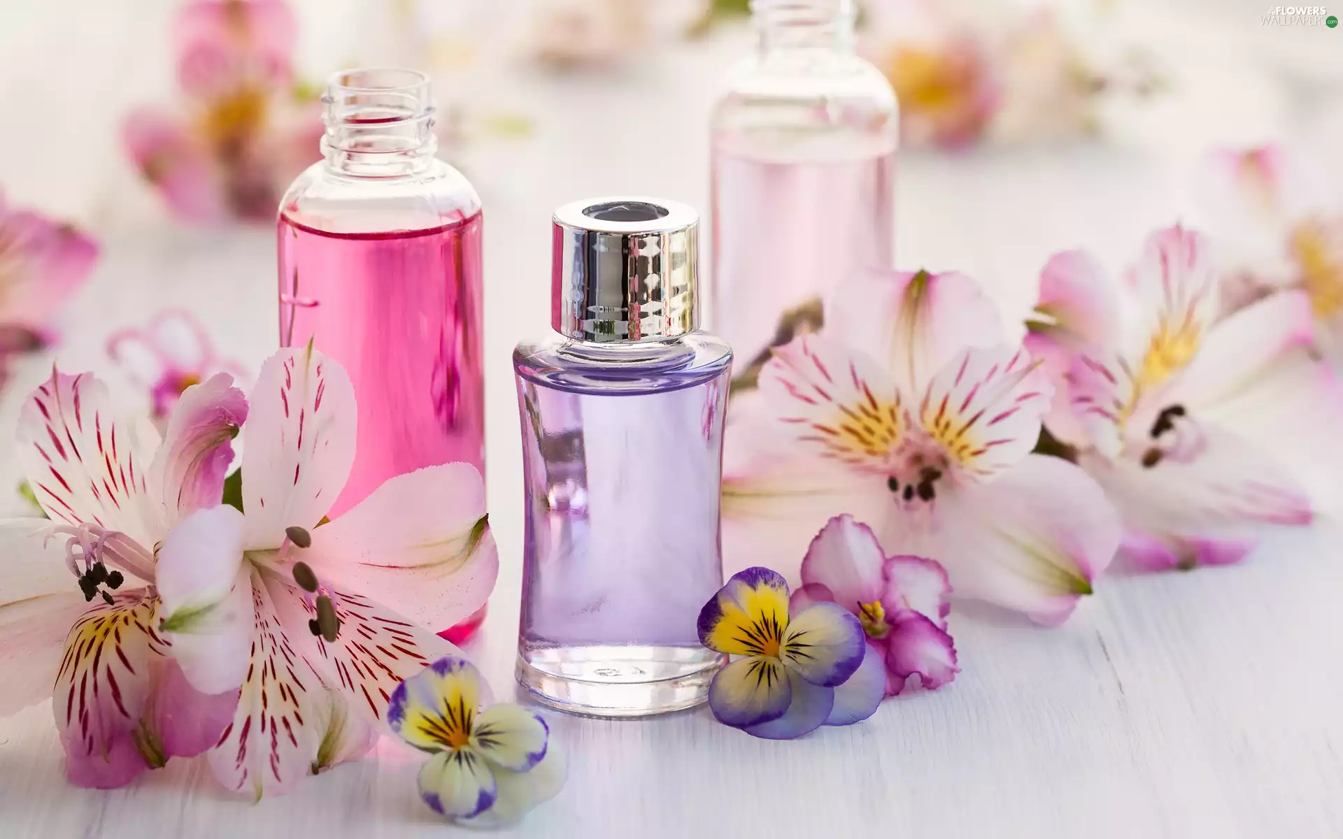 Alstroemeria, composition, Bottles, Flowers, perfume