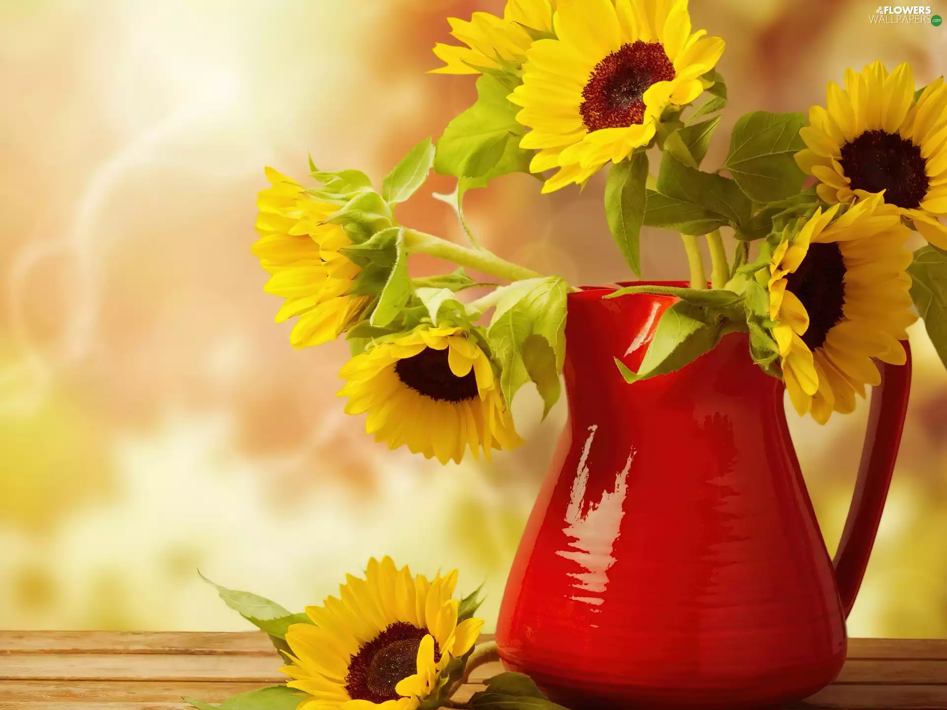 Bench, composition, bouquet, sunflowers, jug