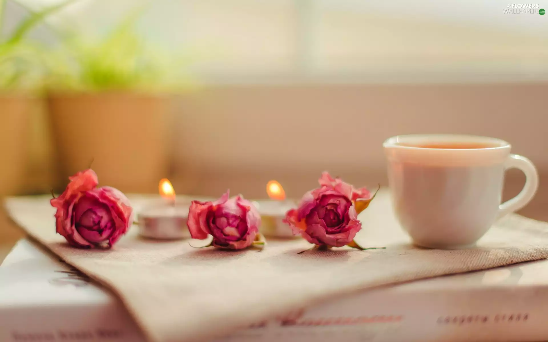 coffee, composition, candles, cup, roses