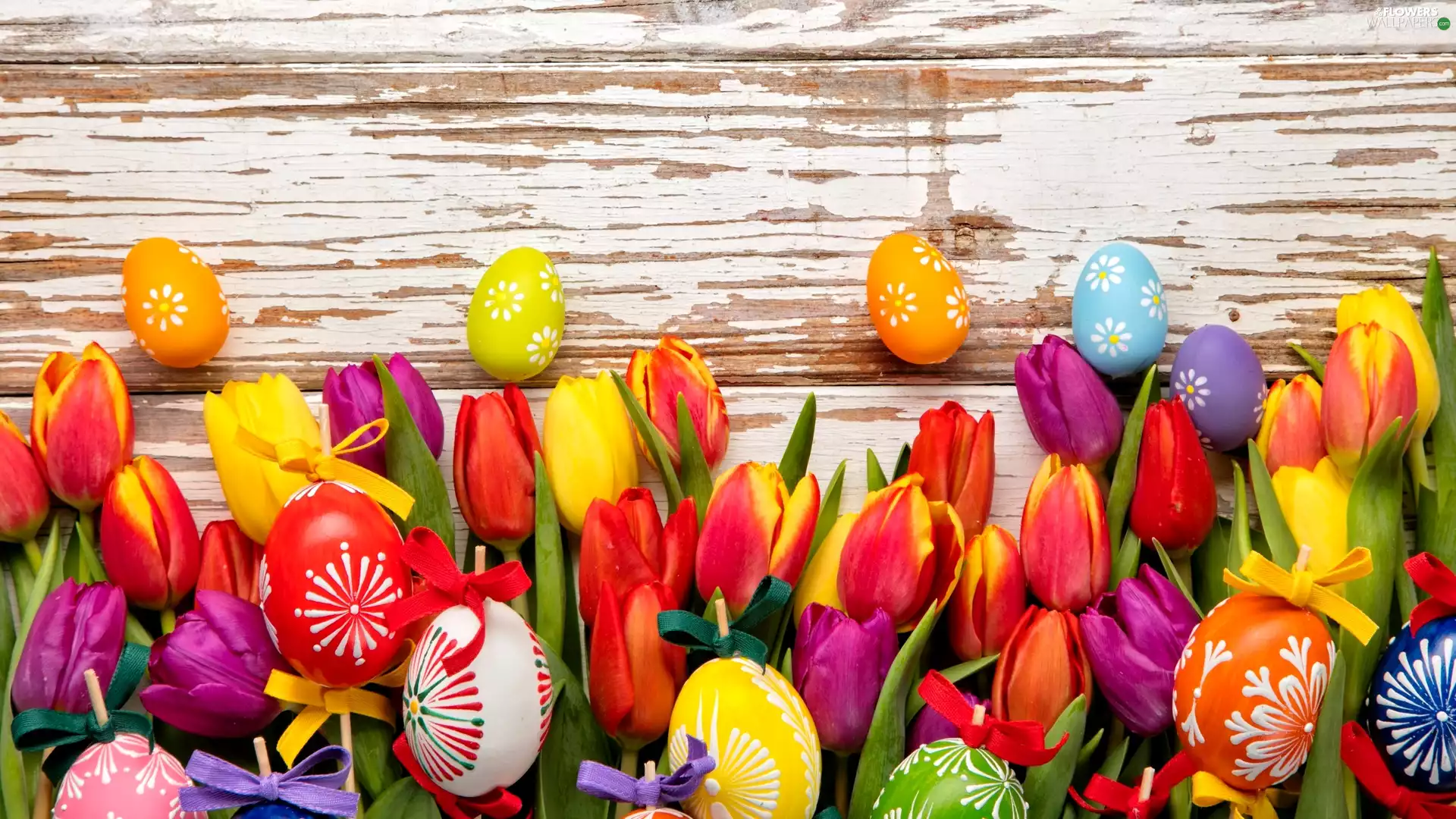 Easter, eggs, Tulips, composition