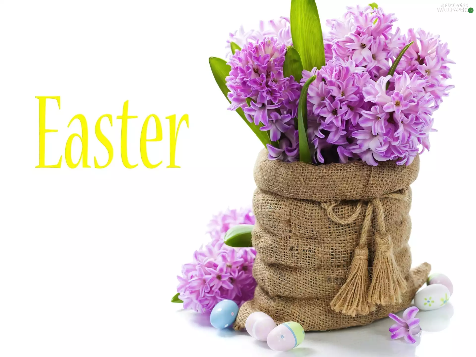 Easter, composition, eggs, Spring, hyacinth