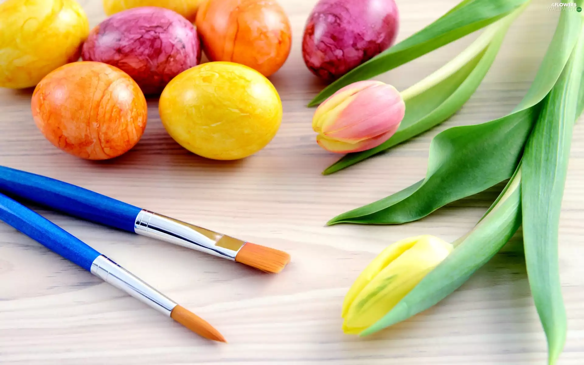 Easter, composition, eggs, eggs, Tulips