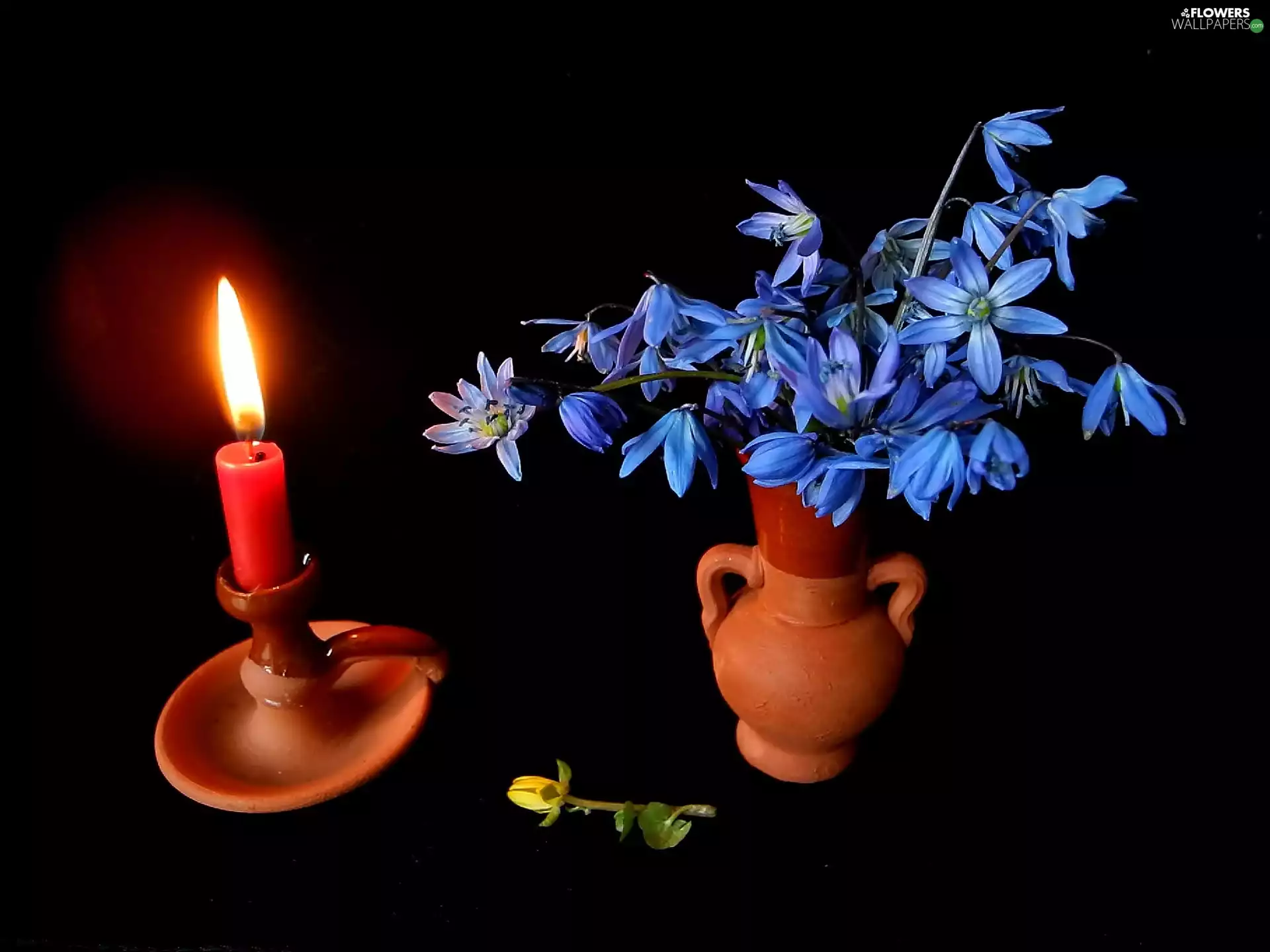 Bouquet of Flowers, Siberian squill, bowl, candle, composition