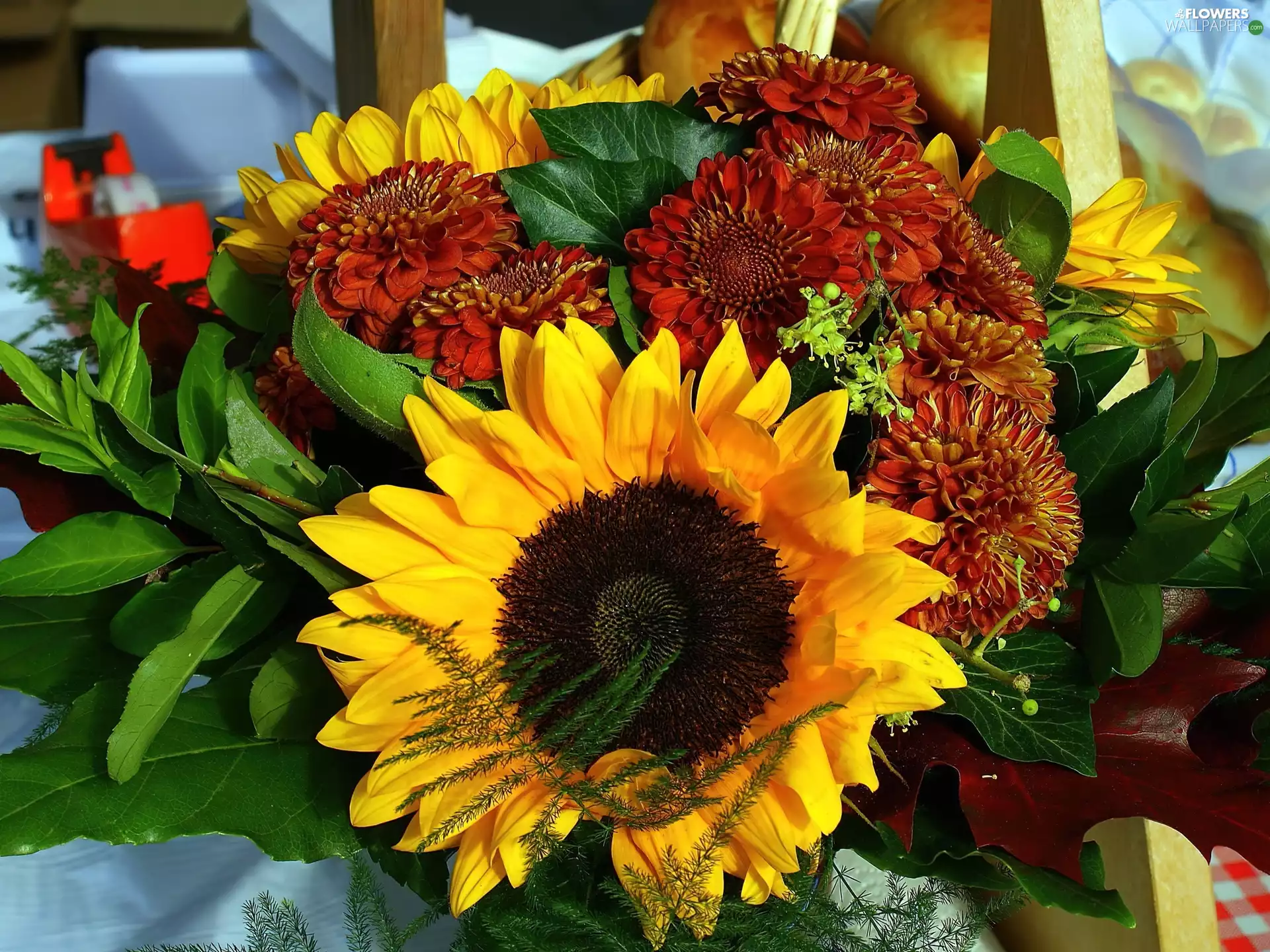 composition, Sunflower, Flowers