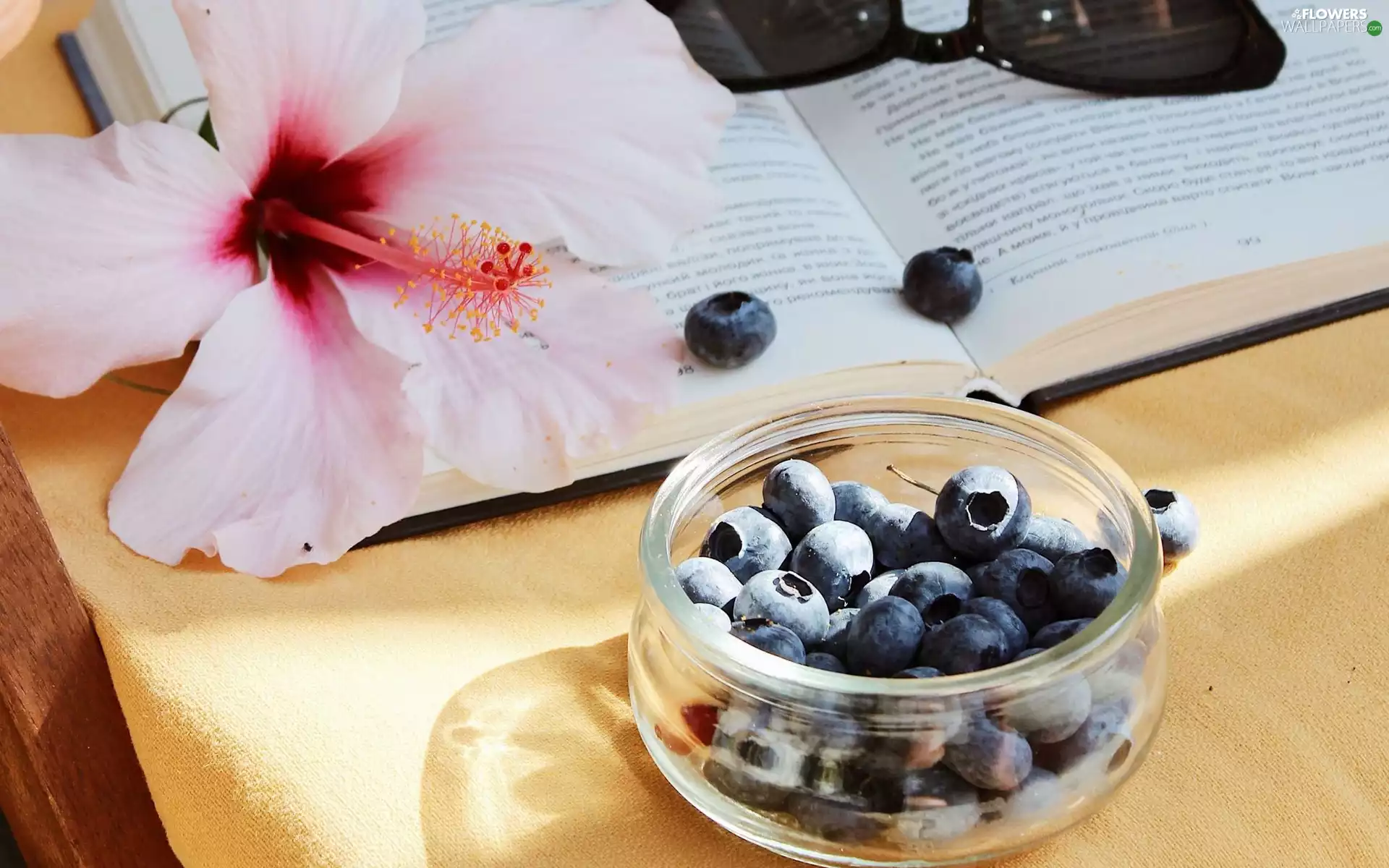 hibiskus, blueberries, Glasses, composition, Book, Colourfull Flowers