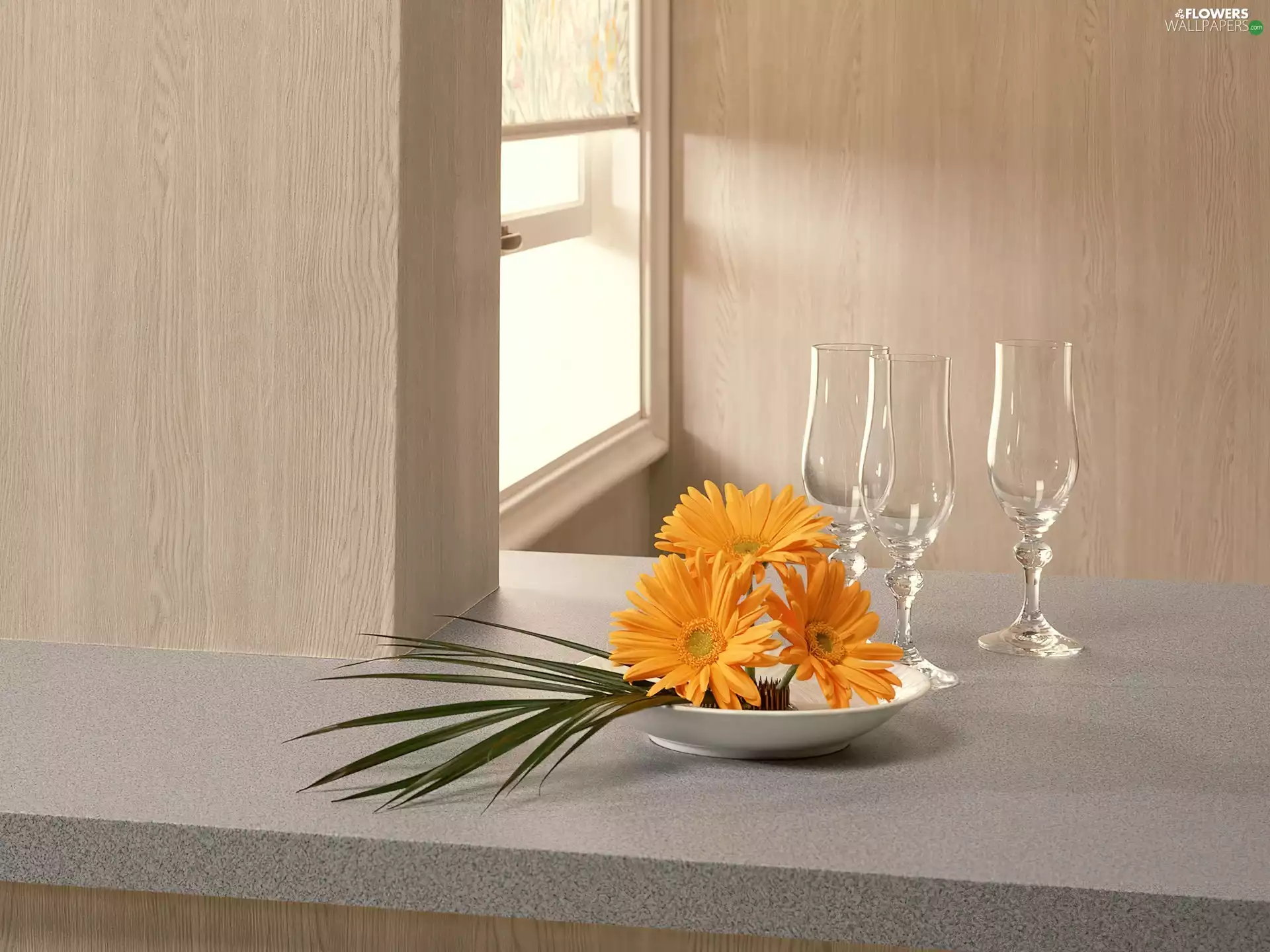 composition, gerberas, glasses
