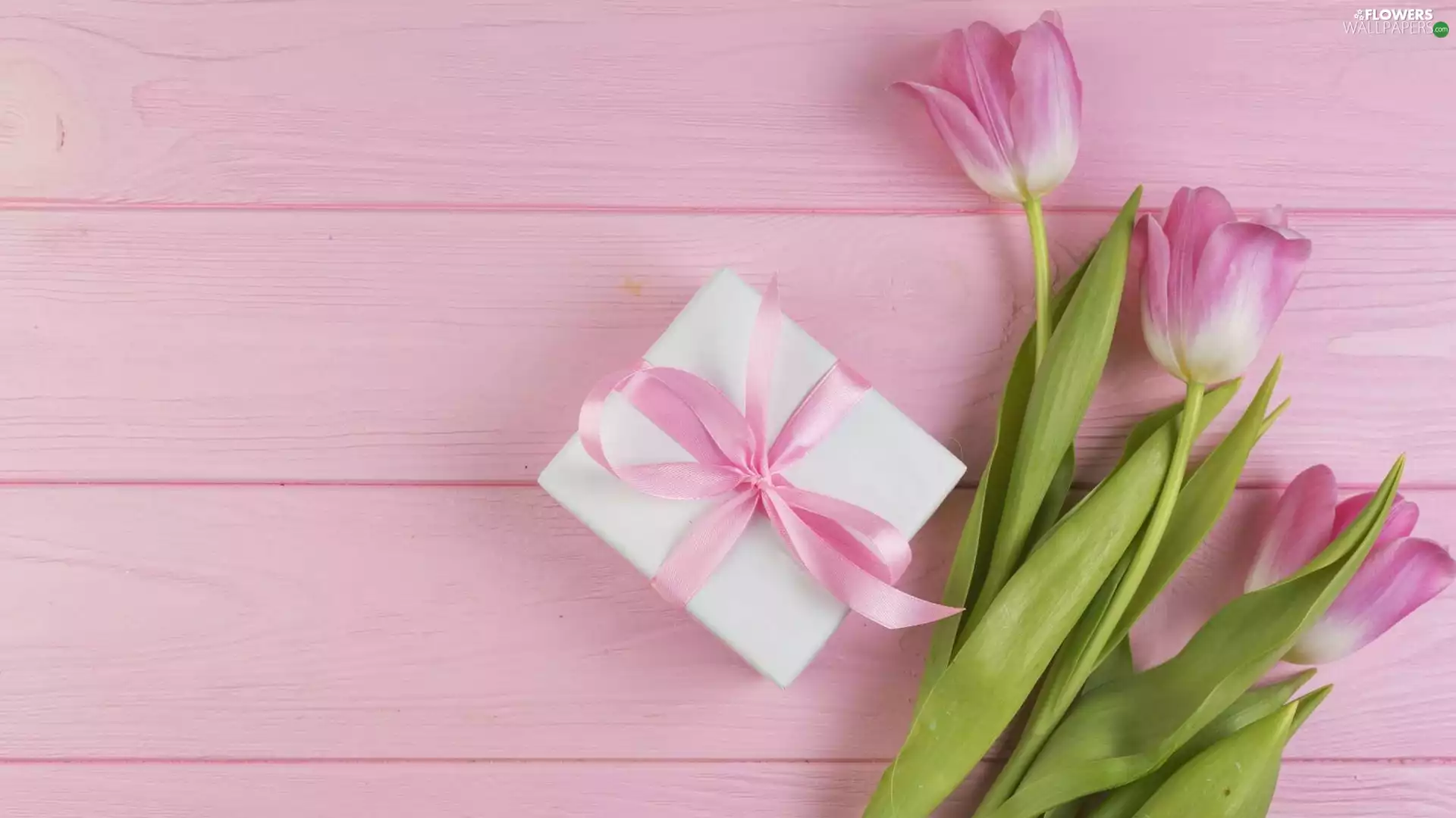 boarding, composition, Present, Pink, Tulips