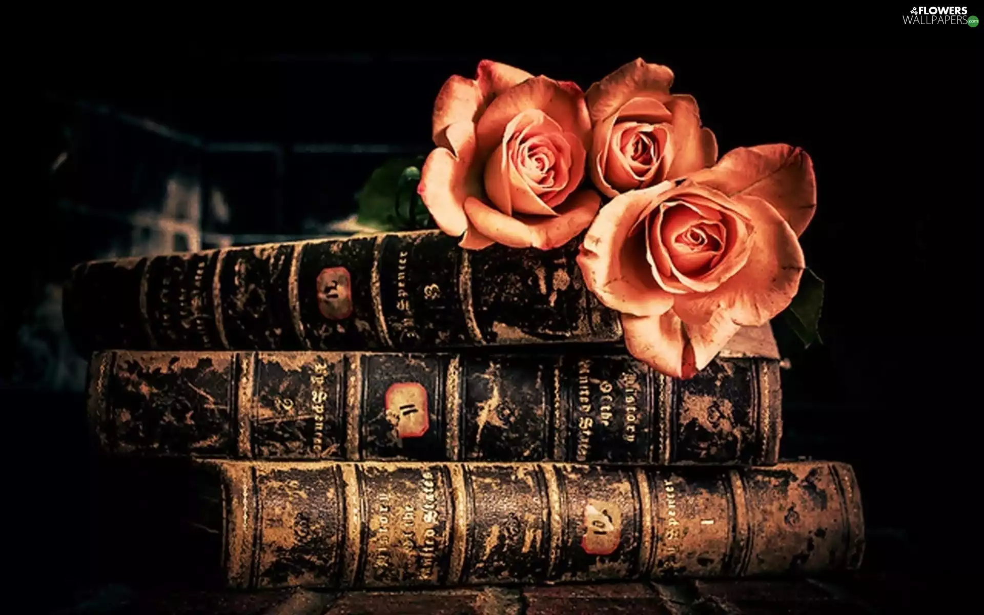 rouge, composition, psalterium, bouquet, old