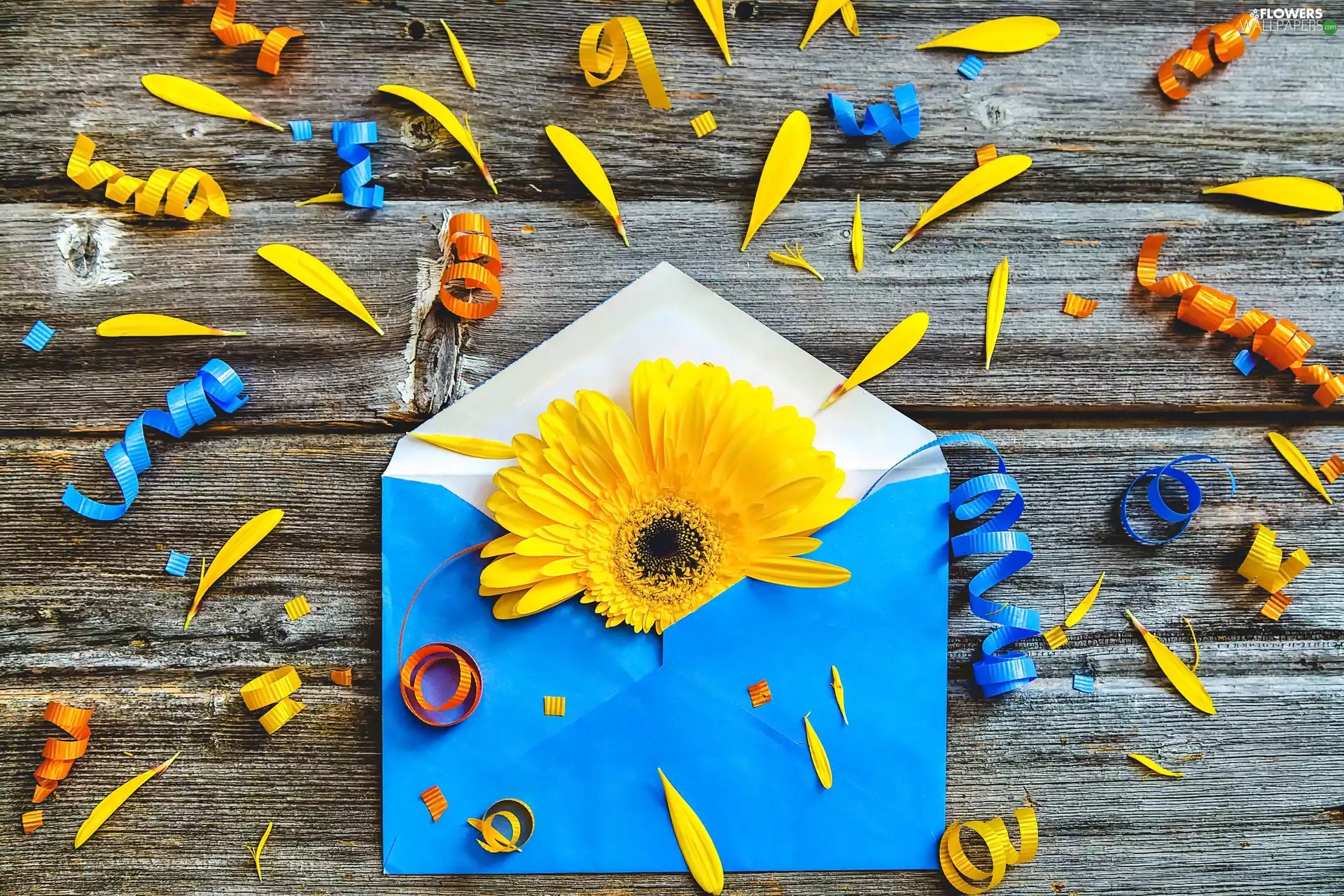 Gerbera, envelope, ribbons, composition, flakes, Yellow Honda