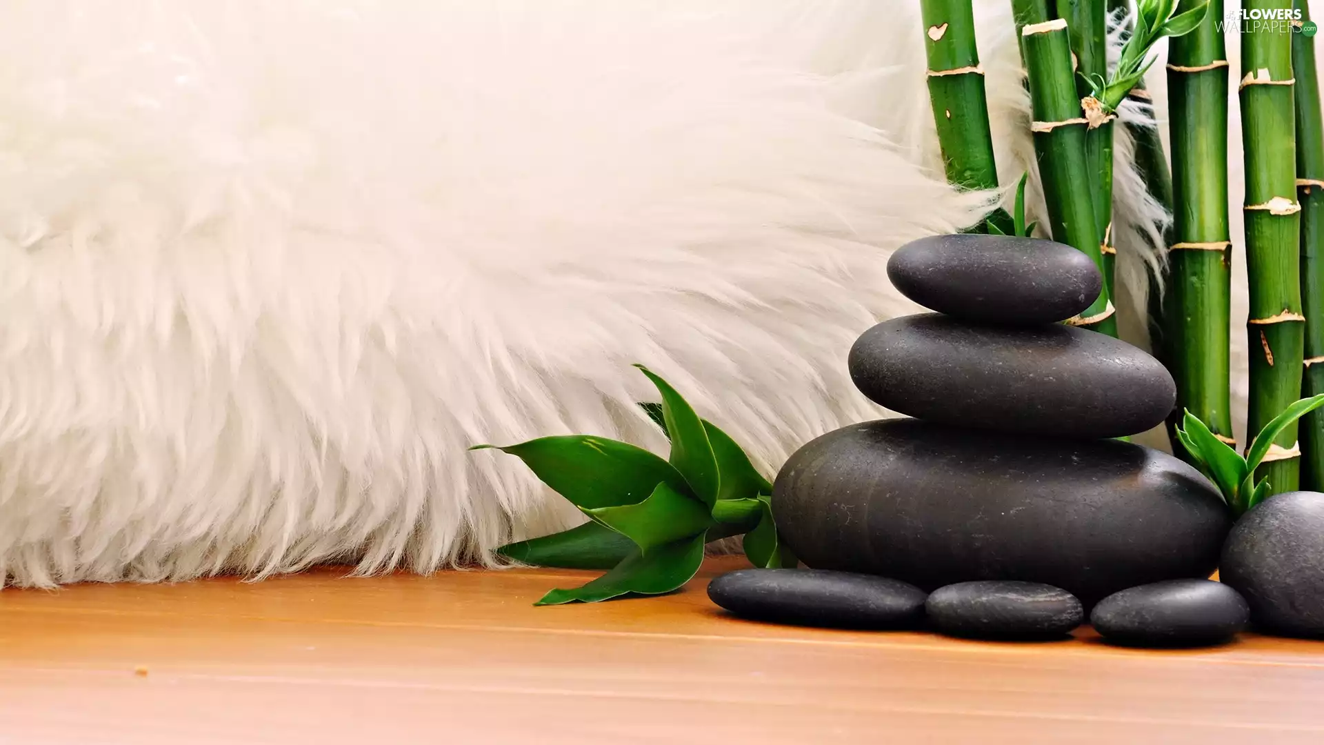 composition, bamboo, Stones