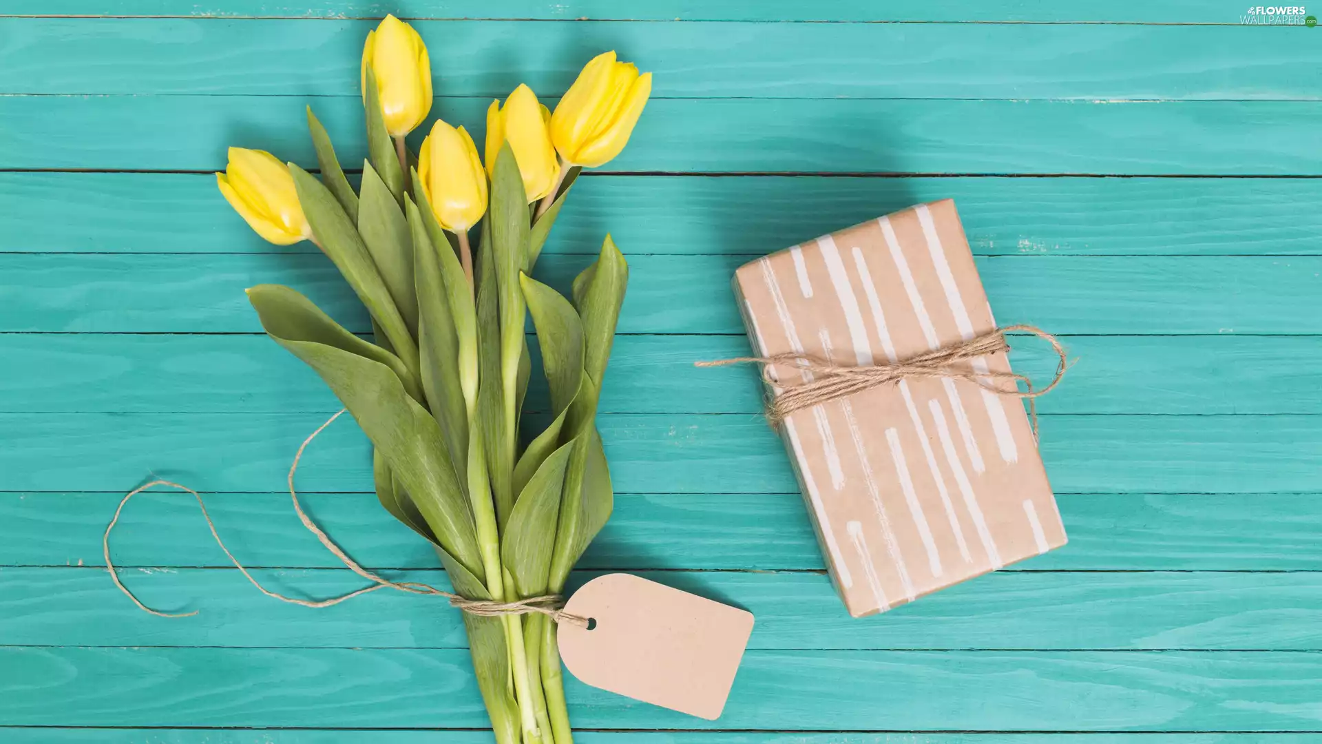 Present, Yellow, boarding, composition, scribble, Tulips