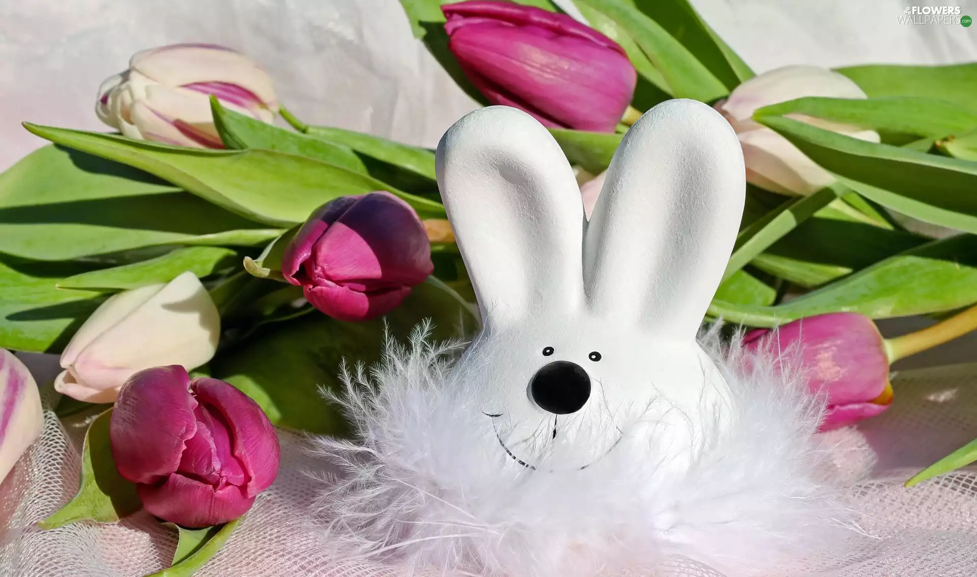 figure, composition, Tulips, rabbit, Flowers