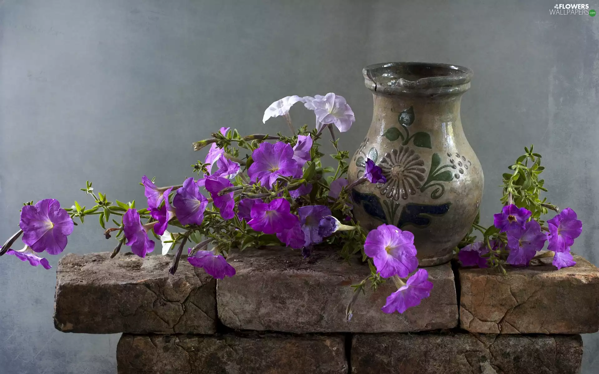 purple, Flowers, Stones, composition, petunias, Vase