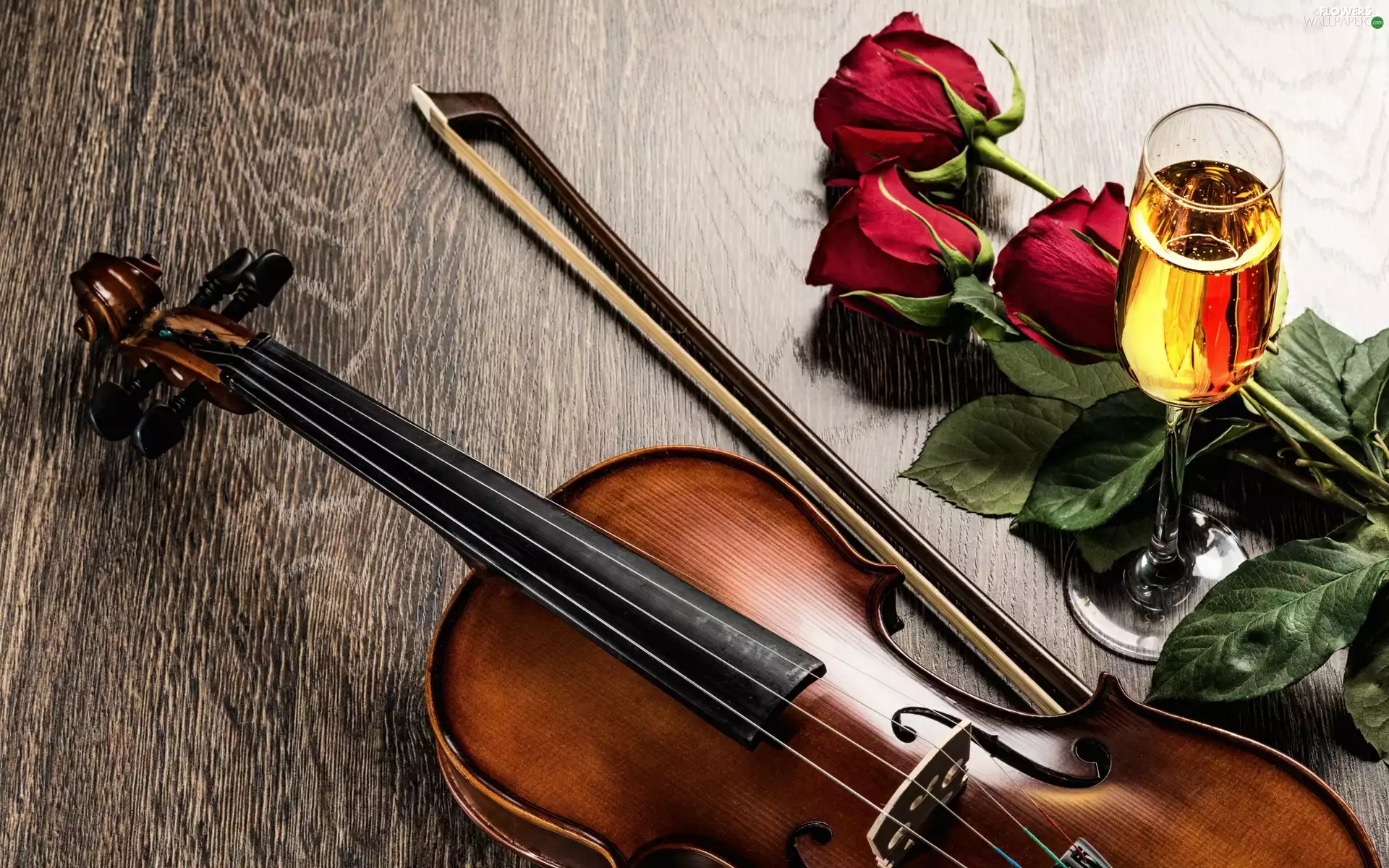 violin, bouquet, Wines, composition, wine glass, rouge