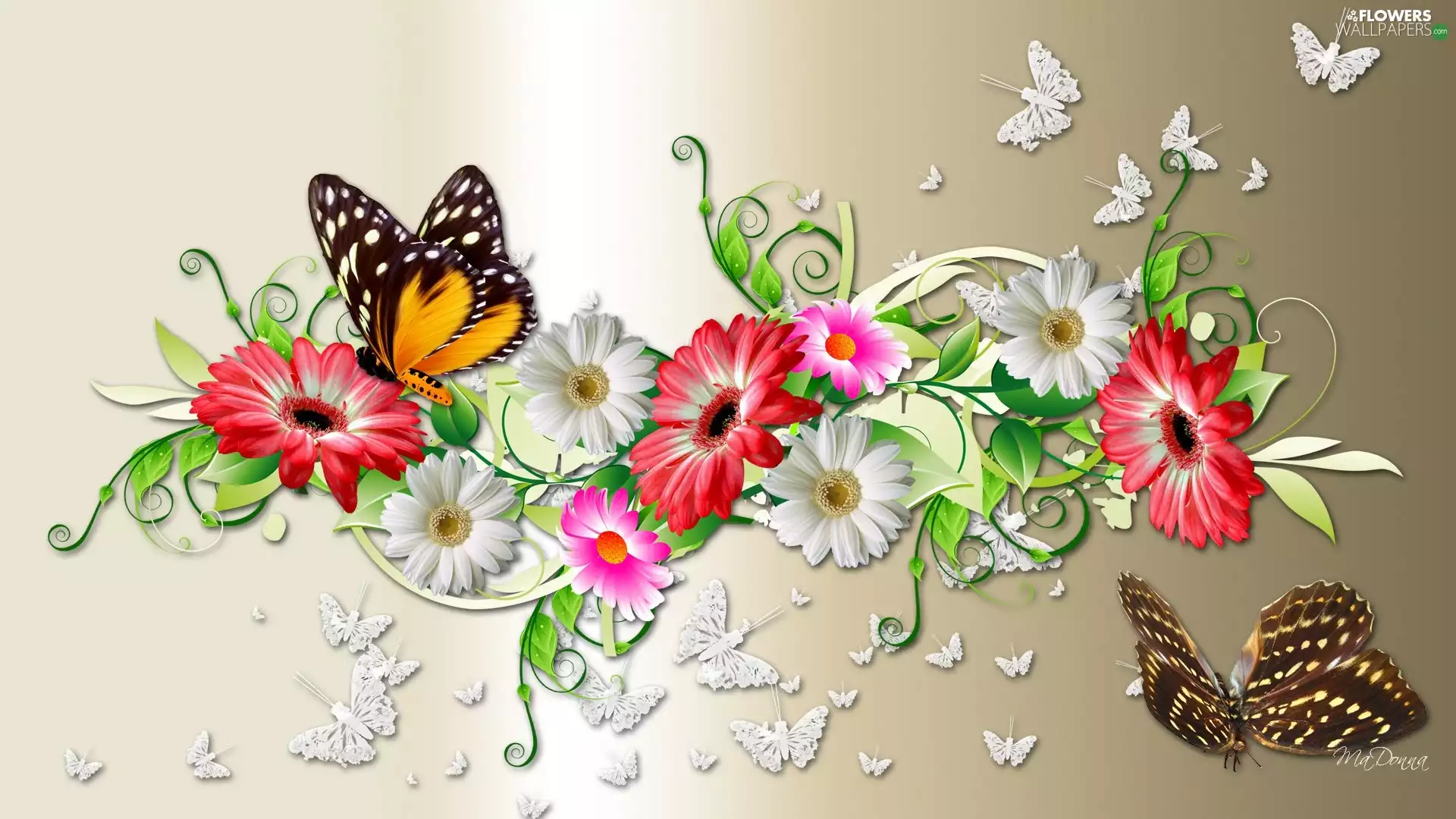 gerberas, White, graphics, Computer, butterflies, Red