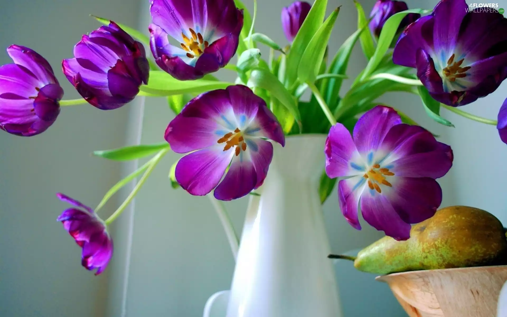 purple, Vase, Truck concrete mixer, Tulips