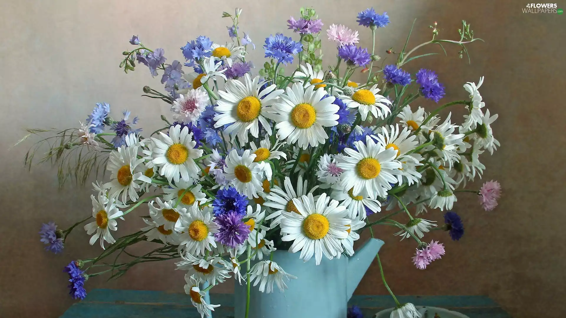 daisy, cornflowers, Flowers, Wildflowers, bouquet