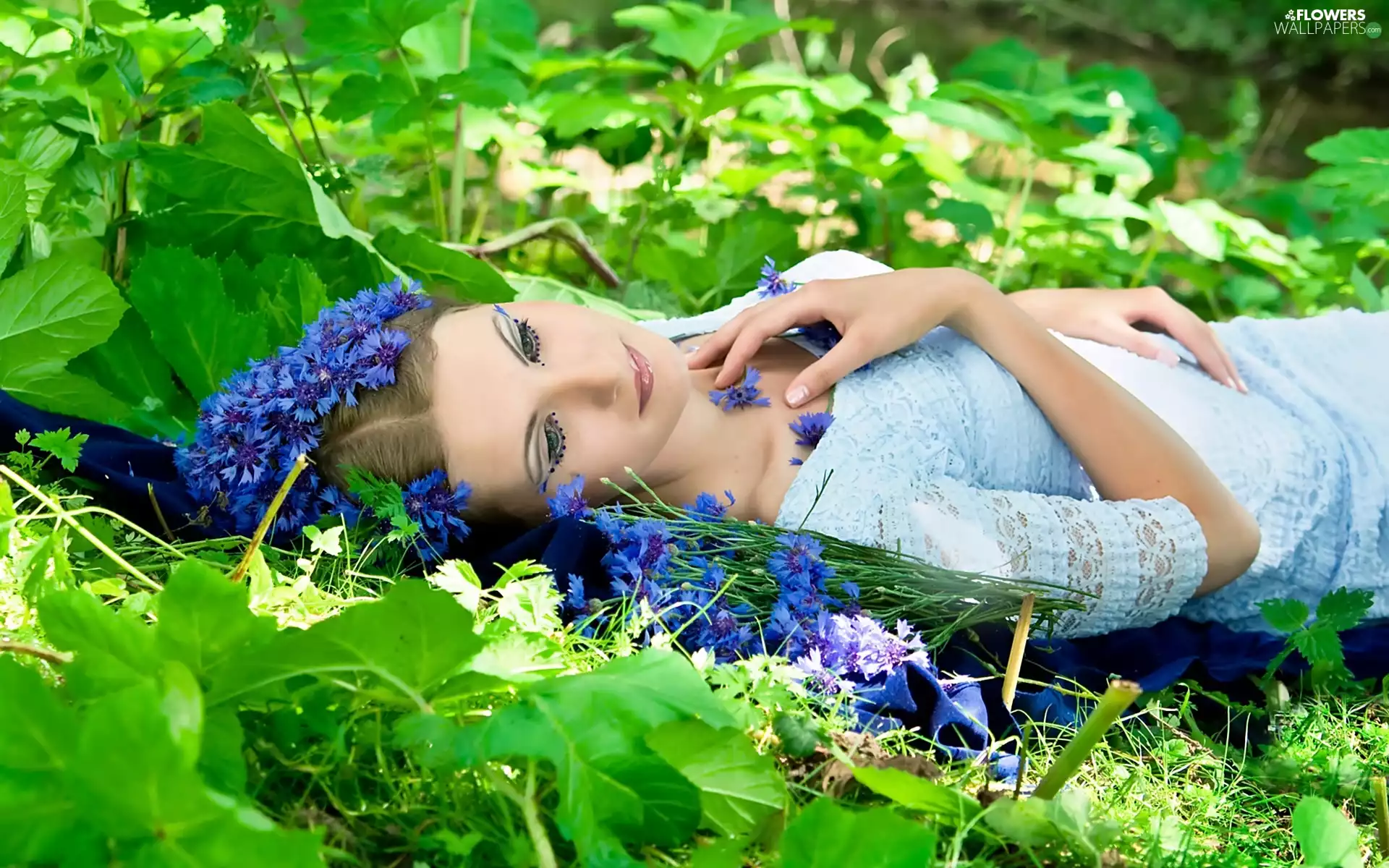 Women, make-up, cornflowers, Beauty, Meadow