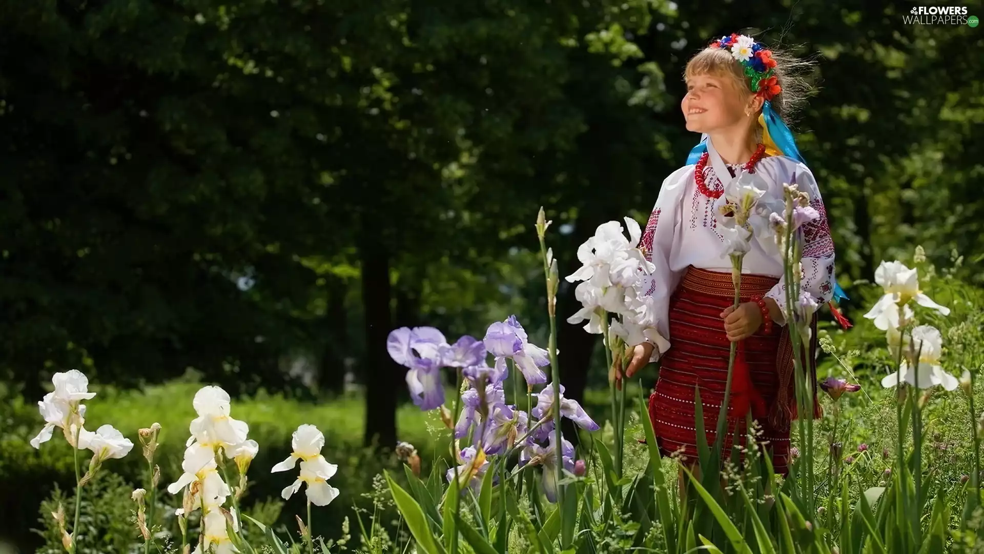 popular, wreath, trees, costume, girl, Irises, viewes