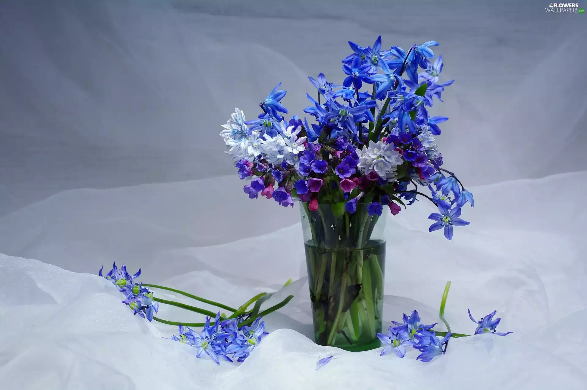 Flowers, bouquet, Lungwort, cup, squill, Blue