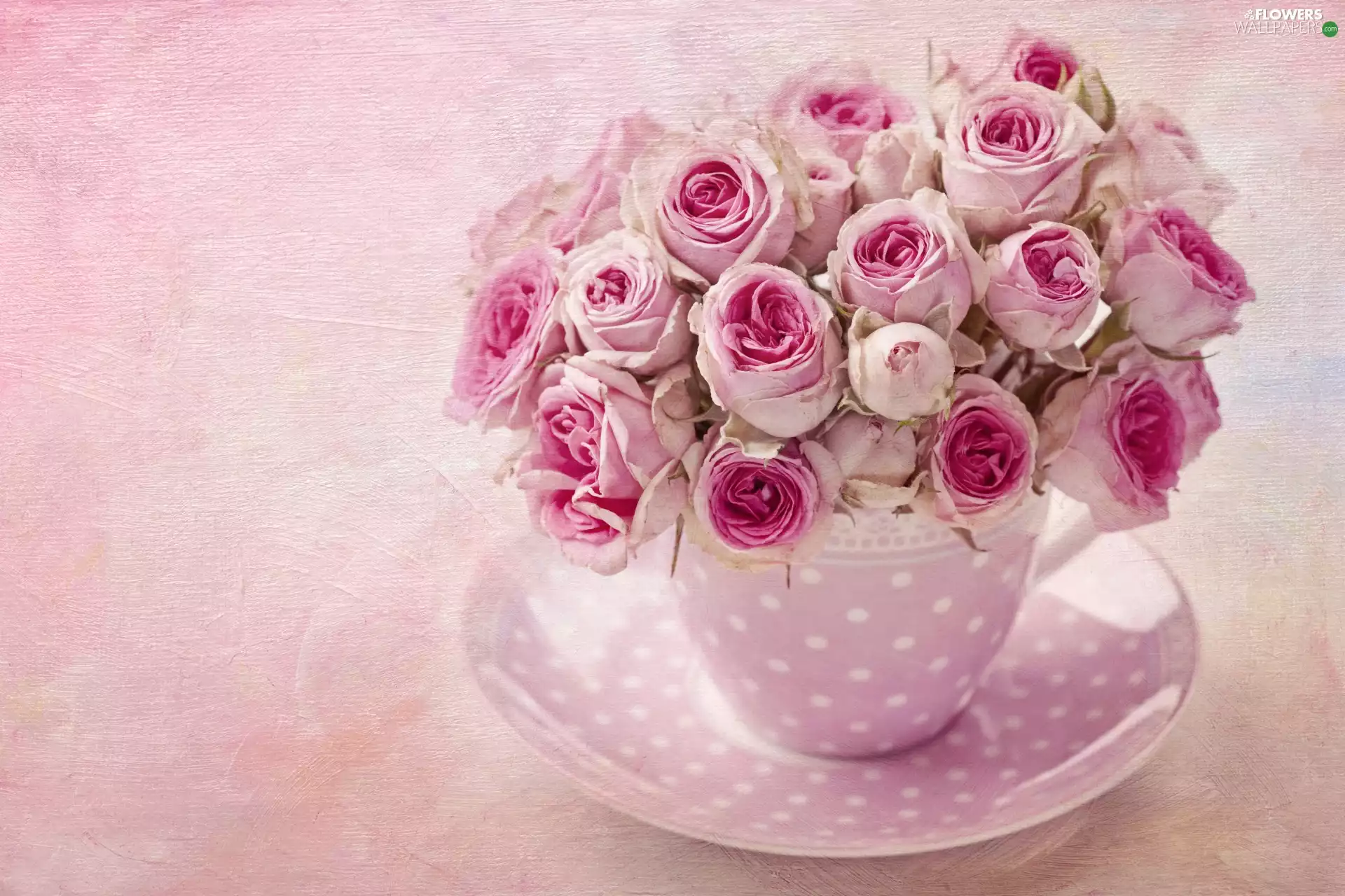 cup, roses, bouquet