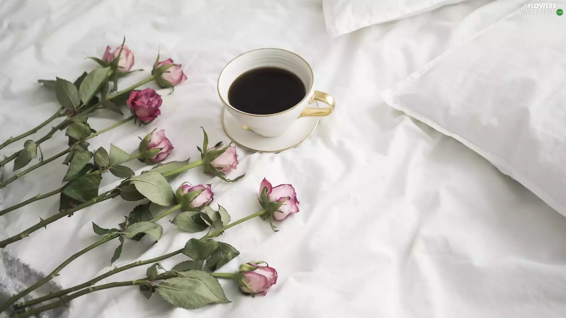 coffee, Bedding, roses, cup