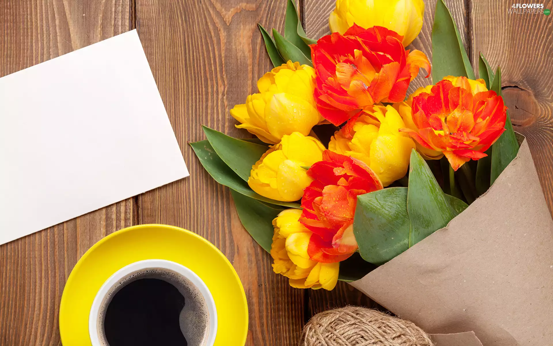 paper, cup, Flowers, Tulips, coffee