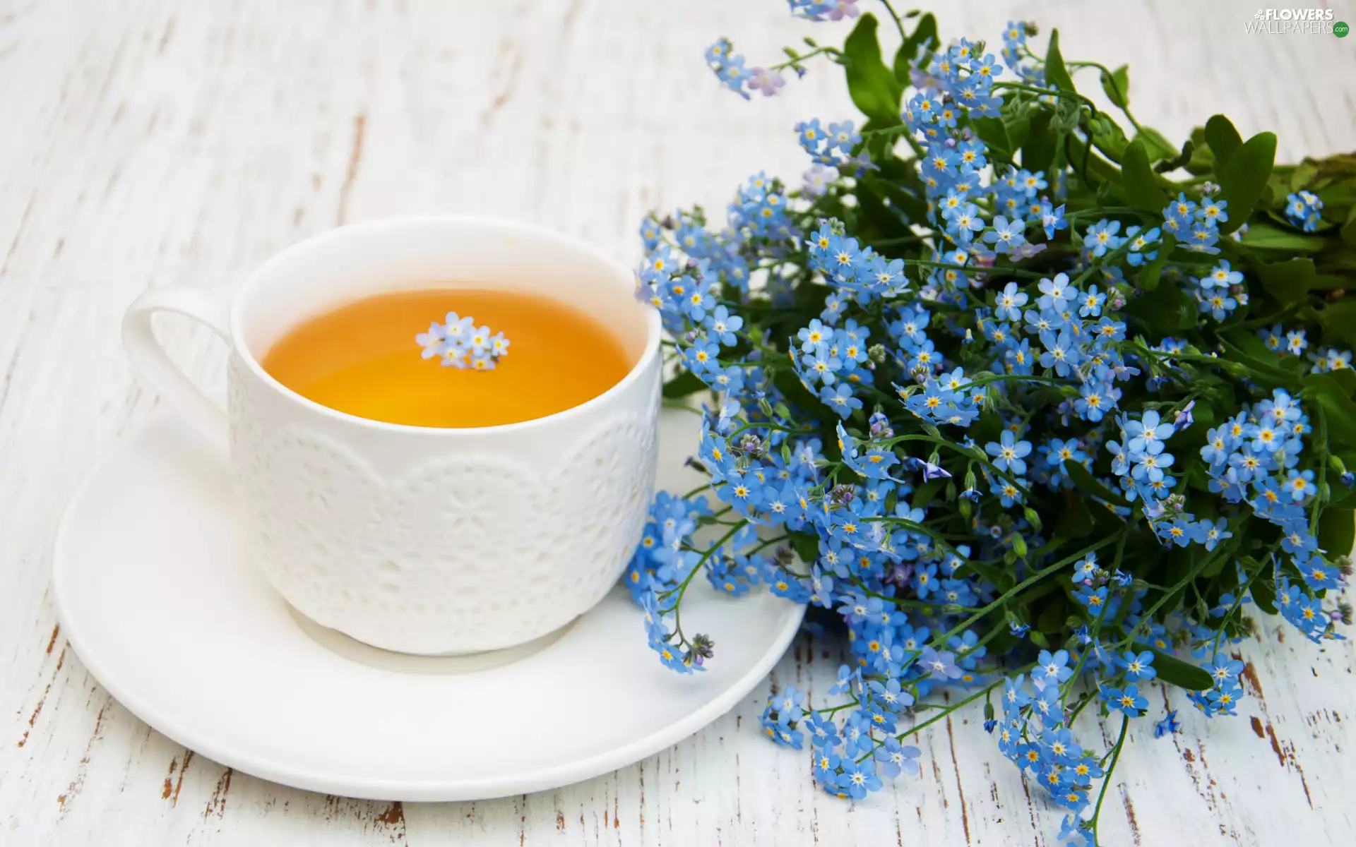 plate, White, Forget, cup, tea, Flowers, boarding